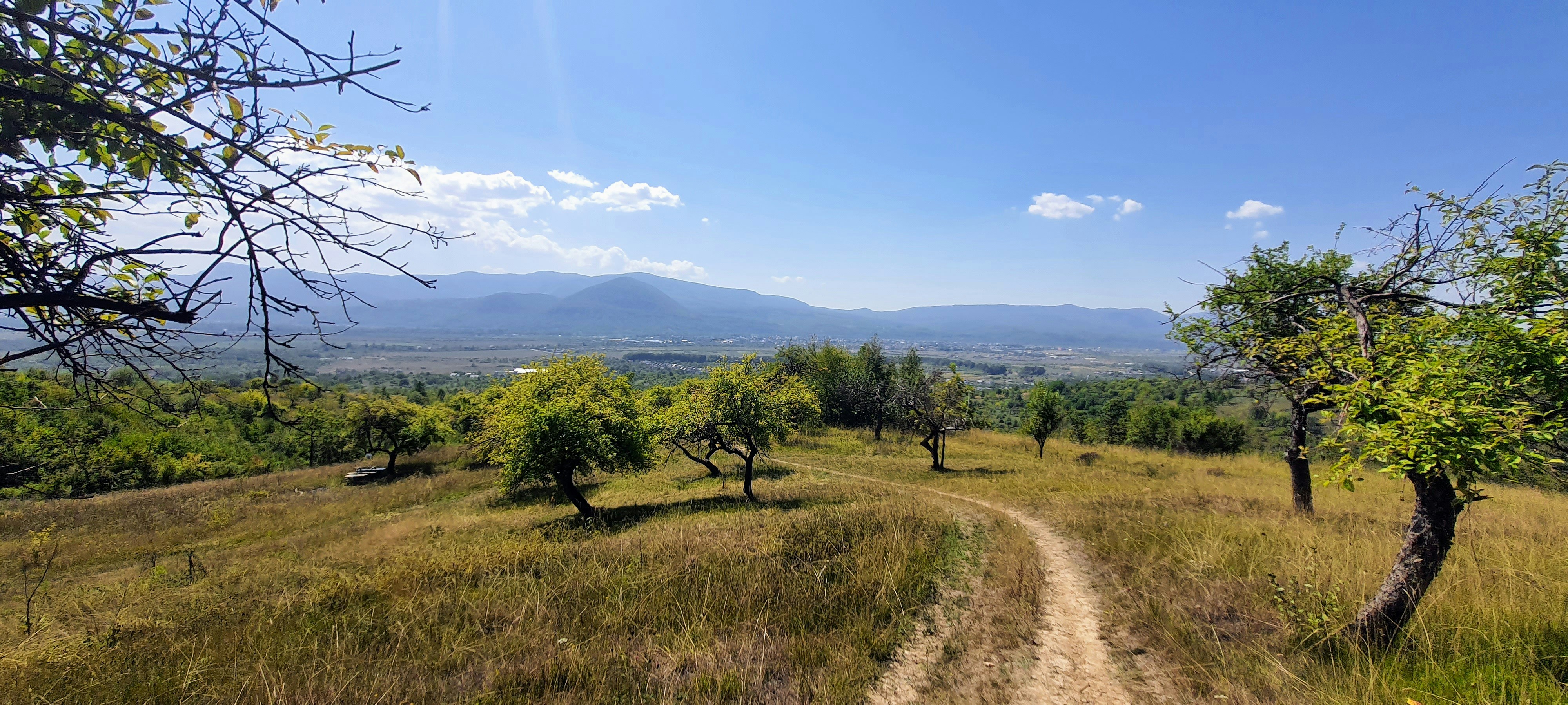 Photo by olenazolotko