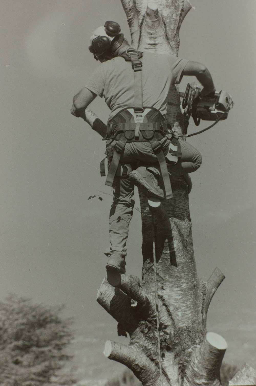 a man climbing a tree