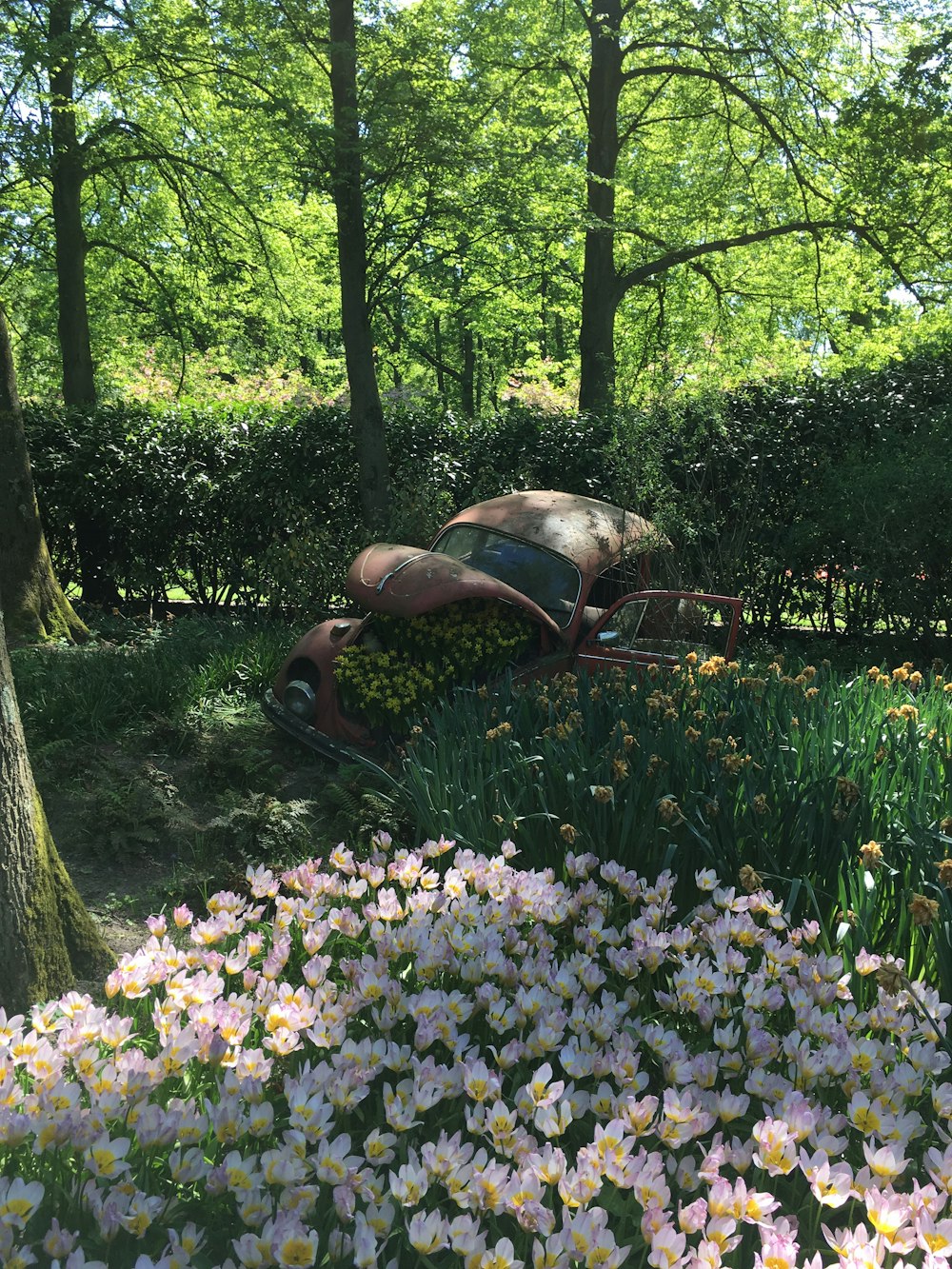 uma pessoa deitada em uma cadeira em um jardim
