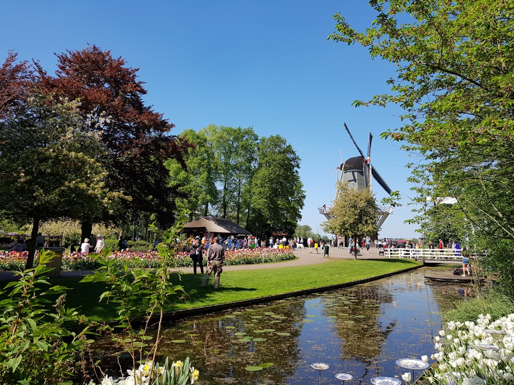 a pond with a park and a ferris wheel in the background