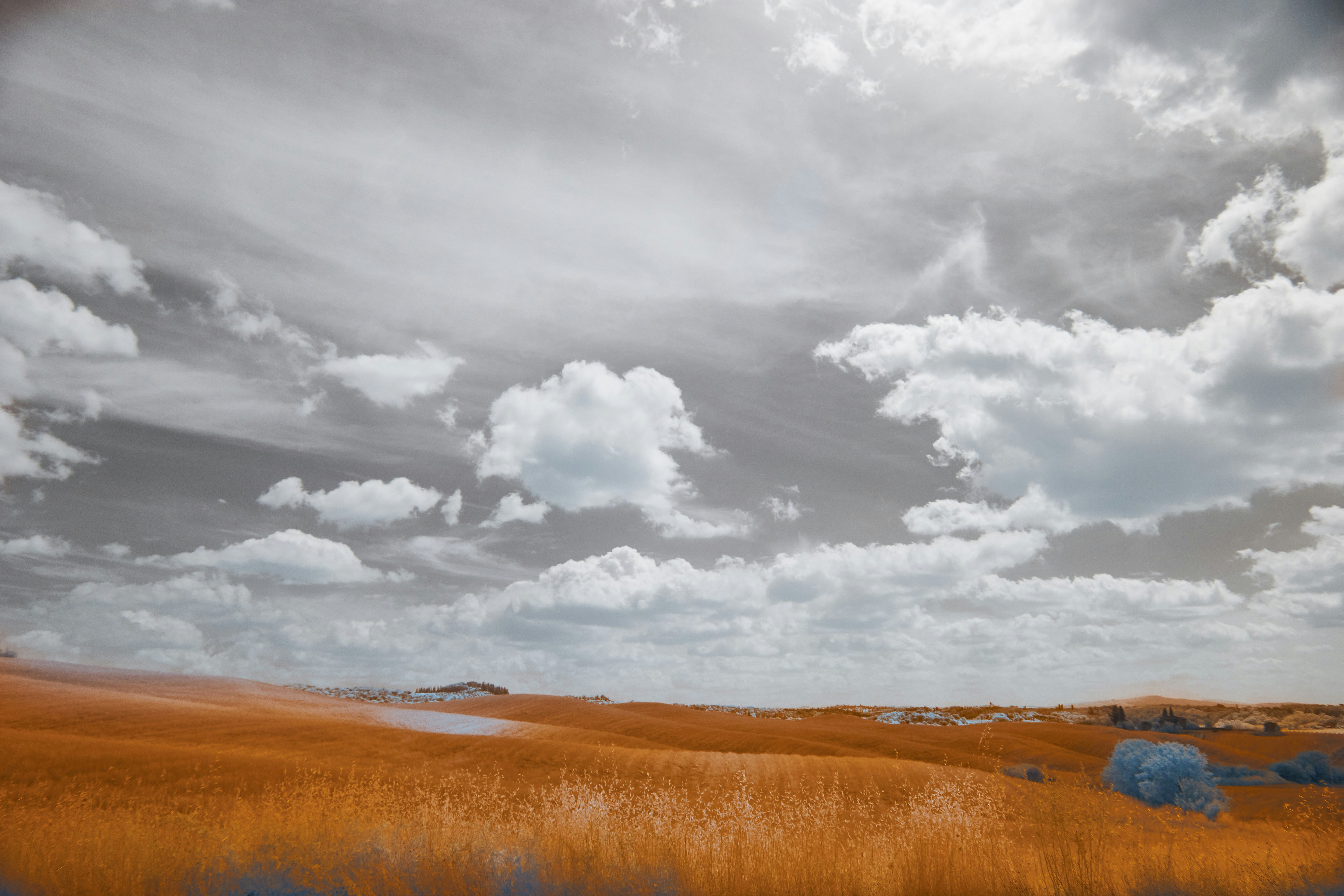 Photo by wolfgang_hasselmann