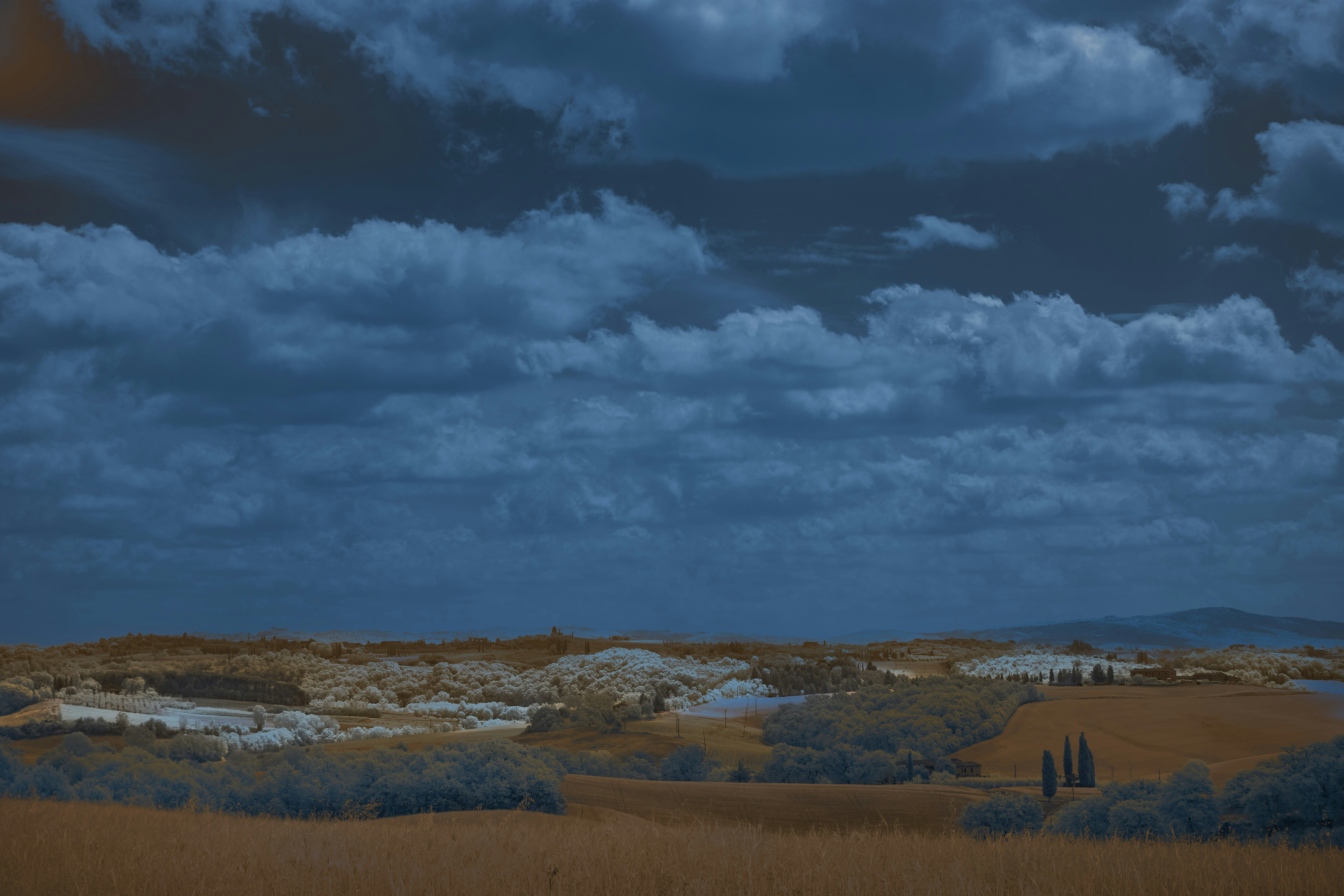 Photo by wolfgang_hasselmann