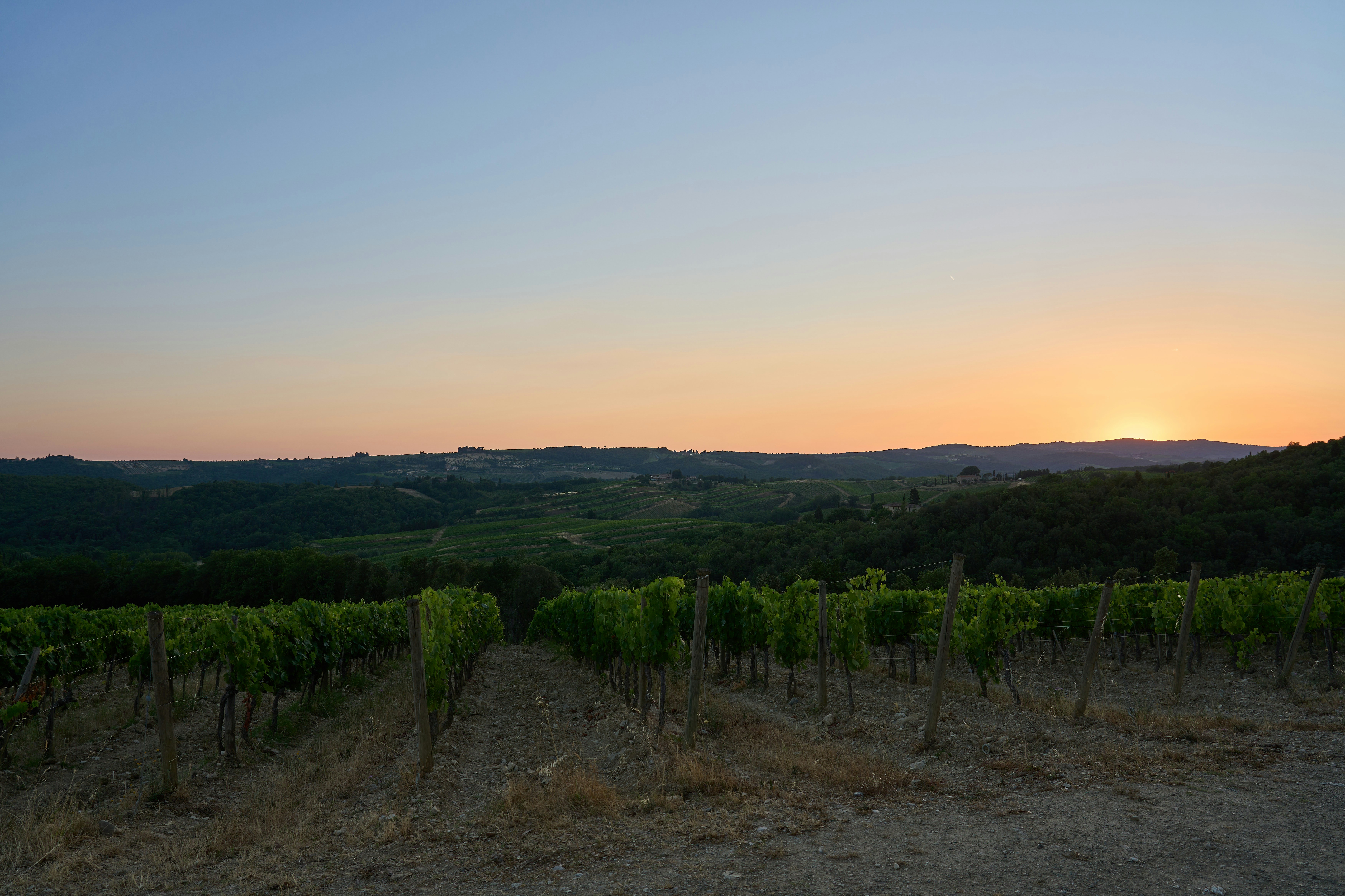 Photo by wolfgang_hasselmann