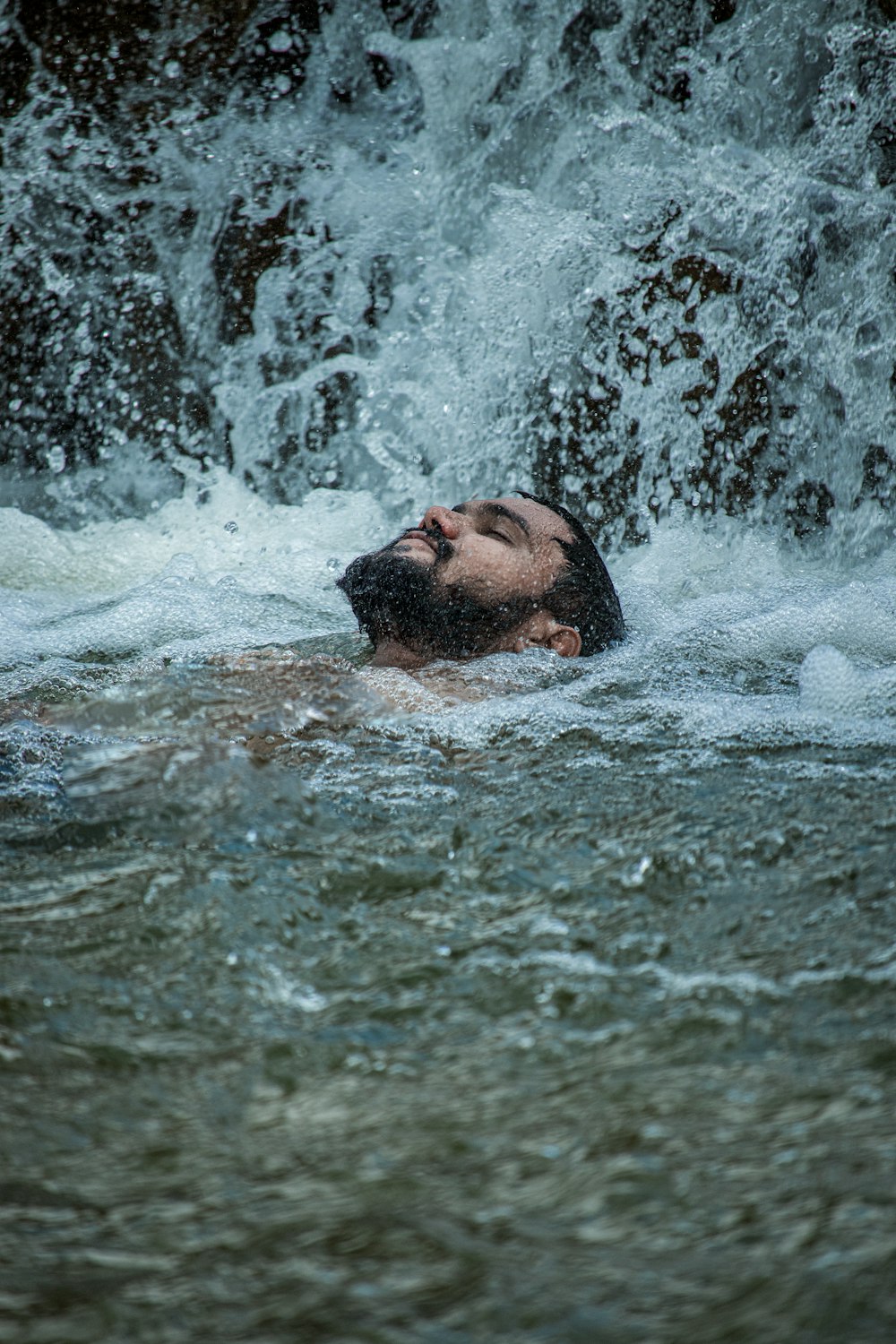 a hippopotamus in water