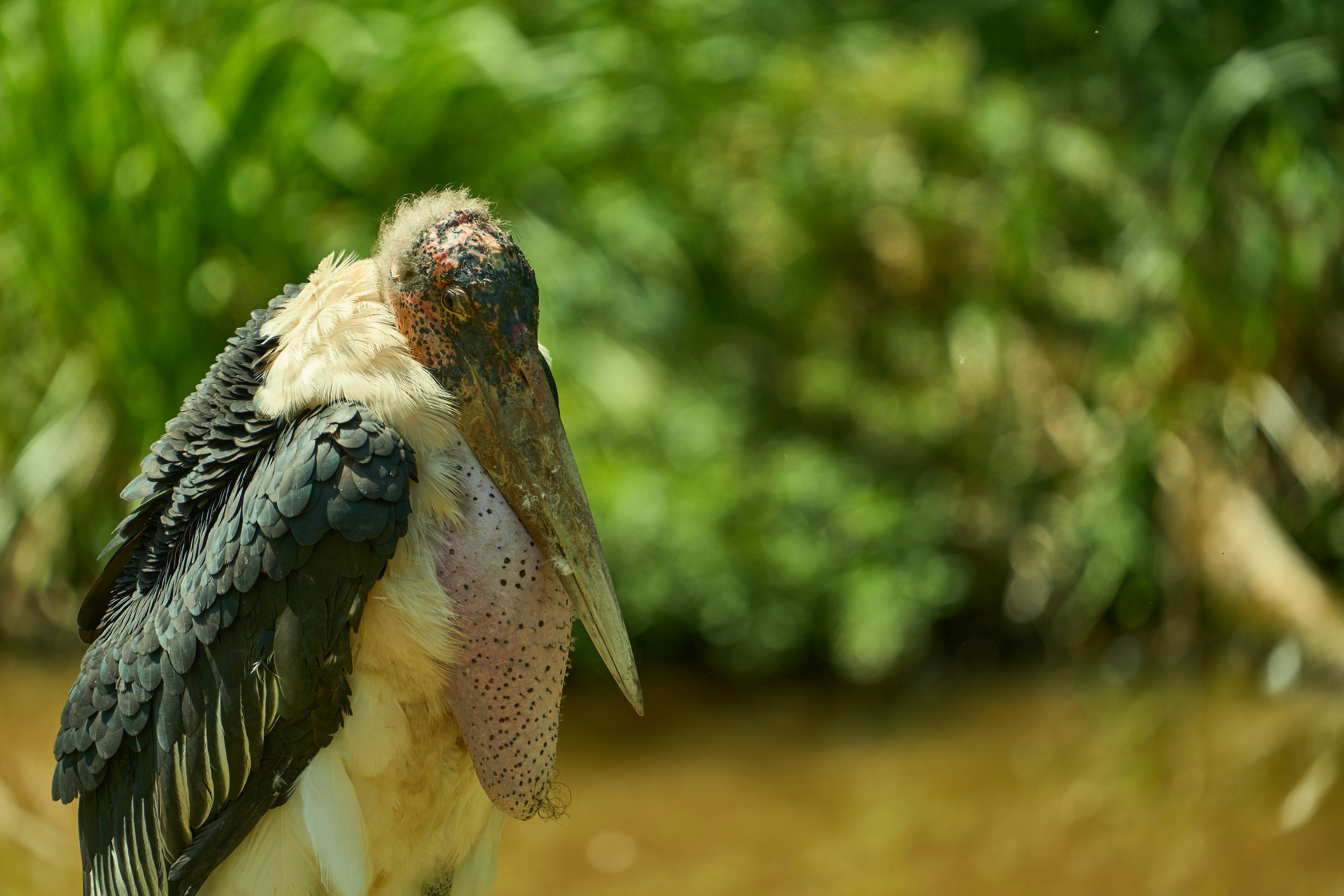 Photo by wolfgang_hasselmann