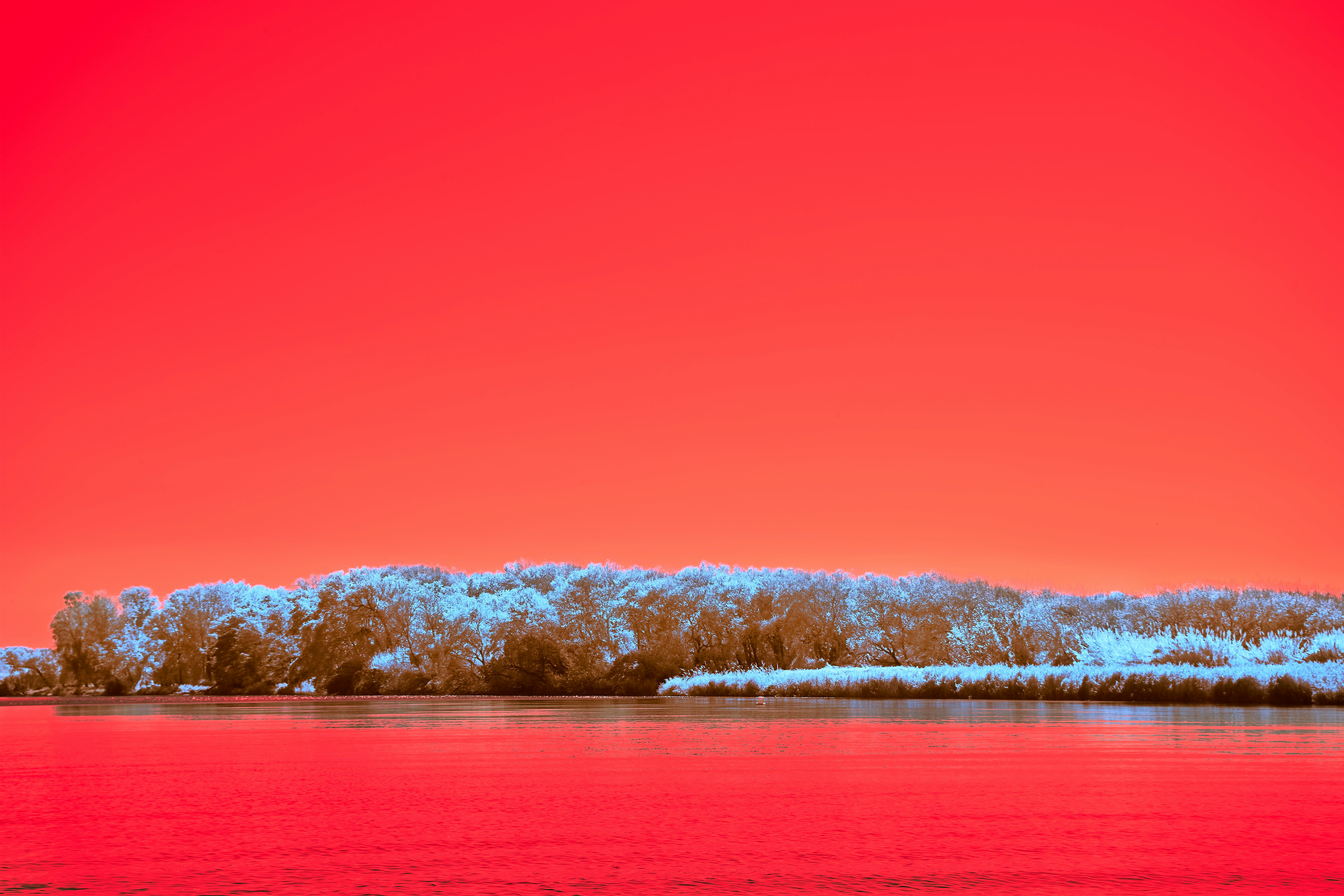 Photo by wolfgang_hasselmann