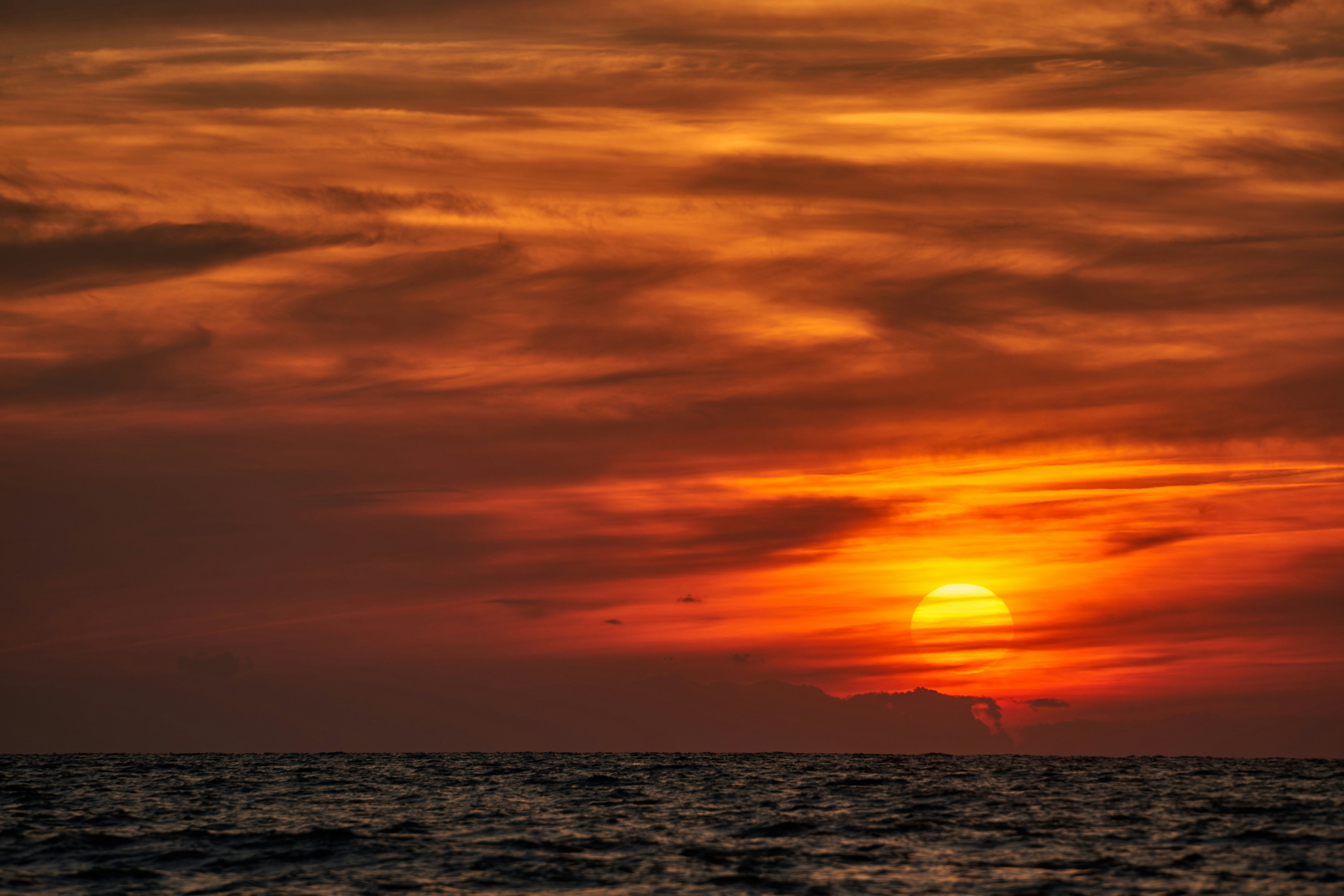 Photo by wolfgang_hasselmann