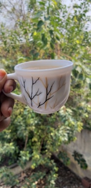 A hand is holding a white mug with an artistic design of branches. The background features a lush, green garden with various types of foliage and sunlight filtering through the leaves.