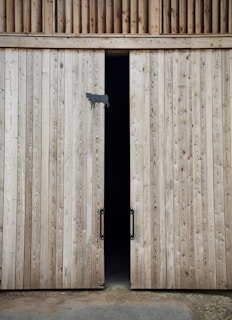 Two tall wooden barn doors with a small gap between them, revealing a dark interior. The doors are made of vertical wooden planks with visible grain patterns and have metal handles. A small silhouette of a cow is attached to one door as a decoration.