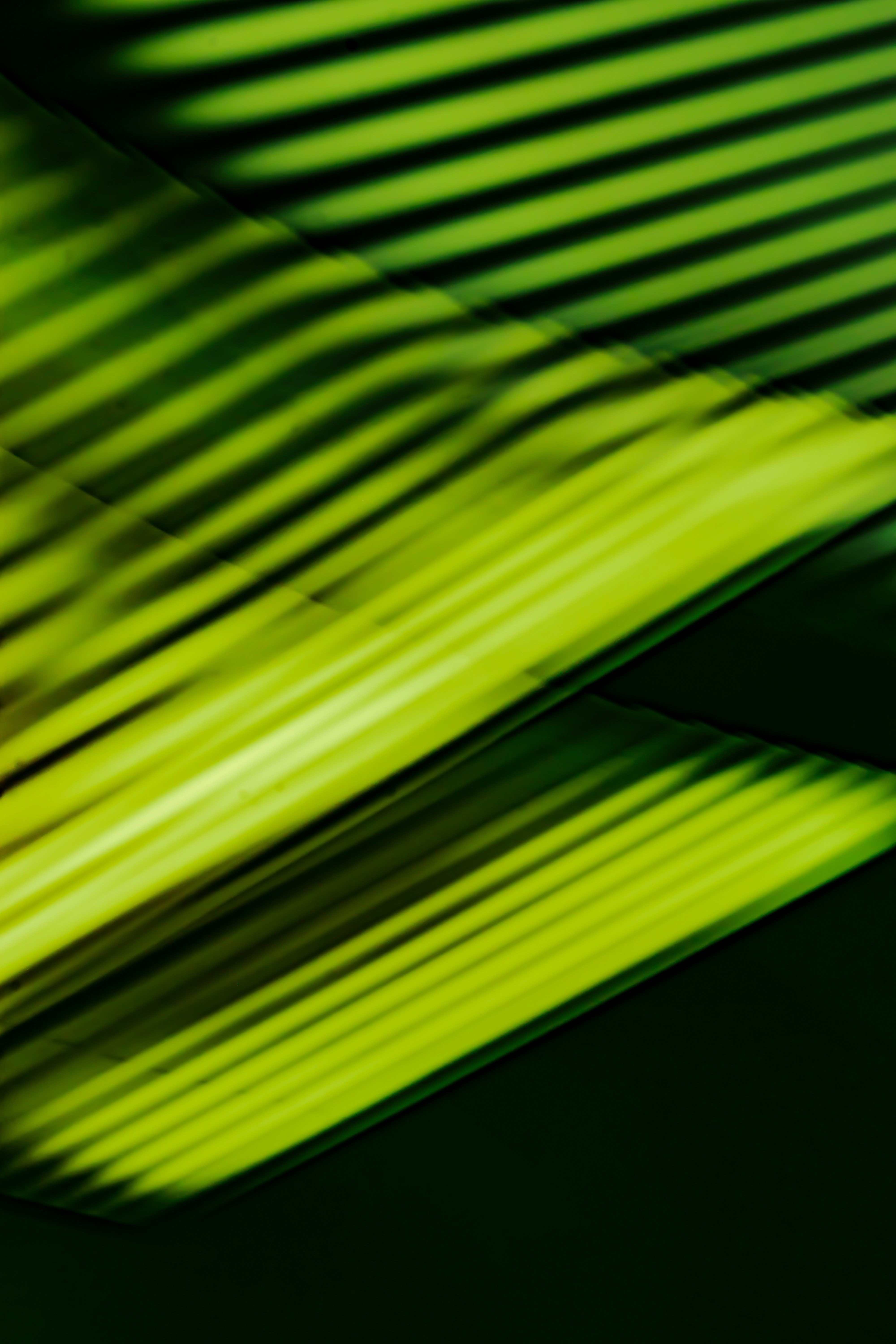 Photo by mahdibafande