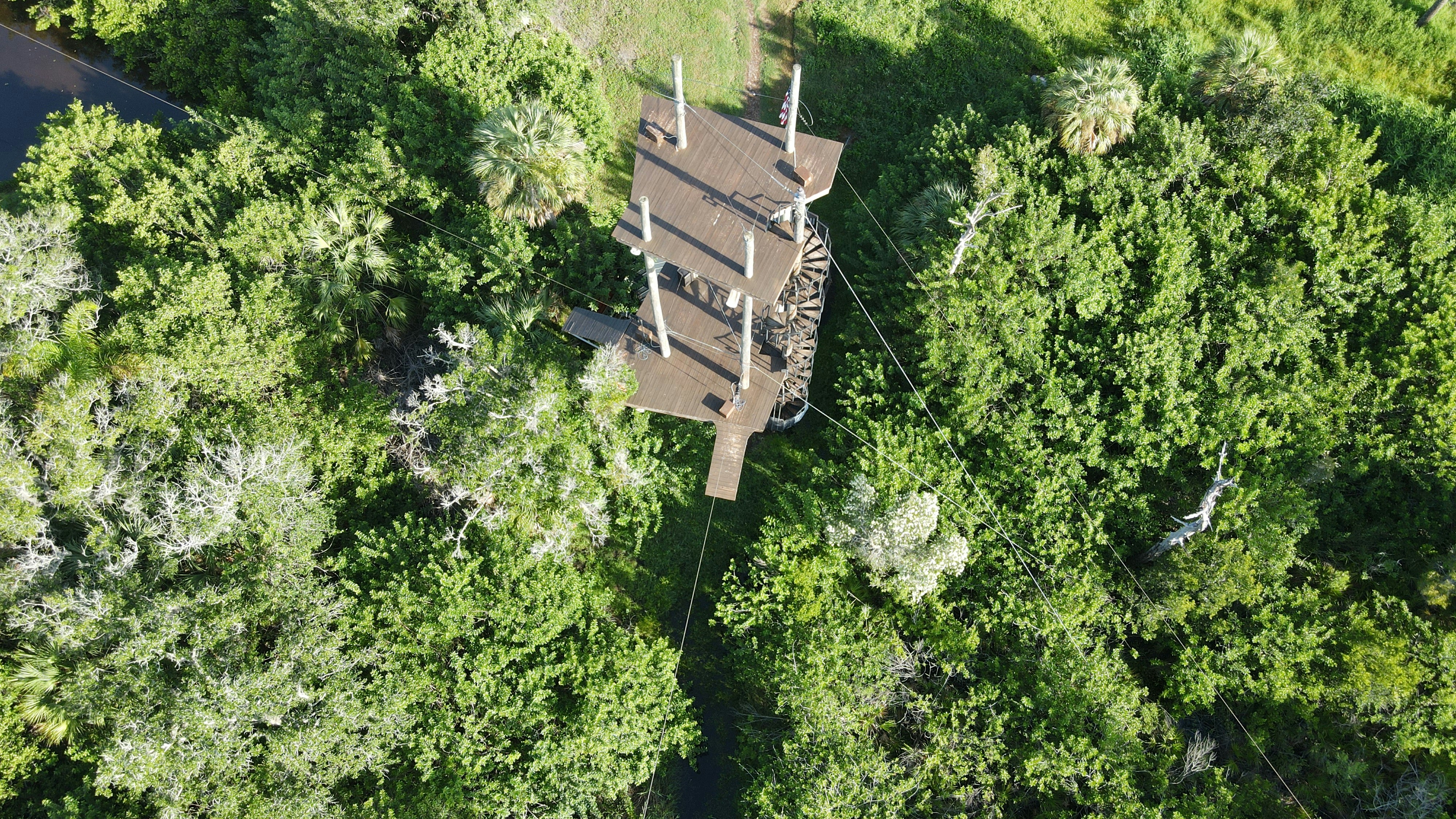 Let’s go Zip lining, an drone photo from high above this wooded area in Tampa Bay, Florida.