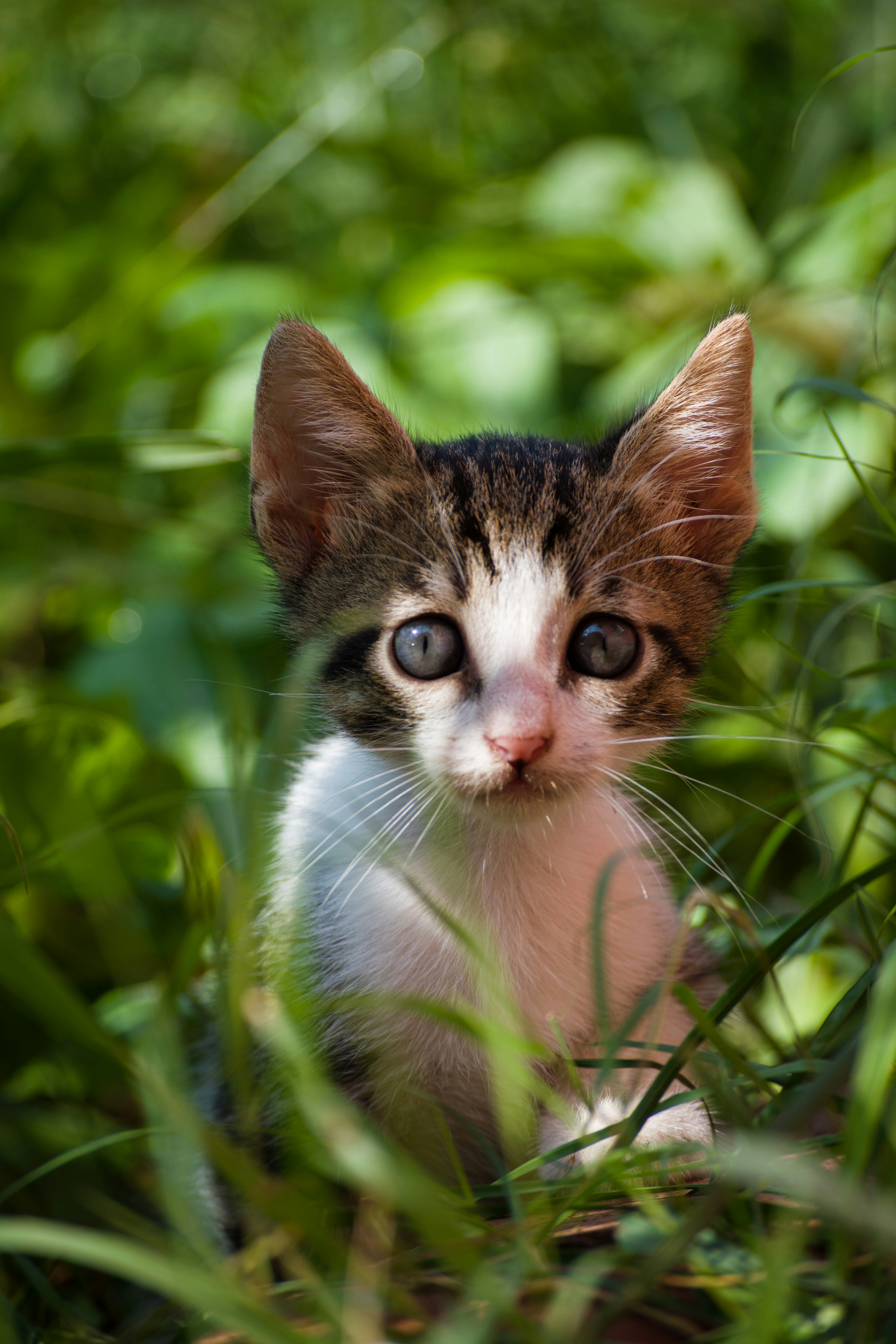 Photo by ireem_yildiz