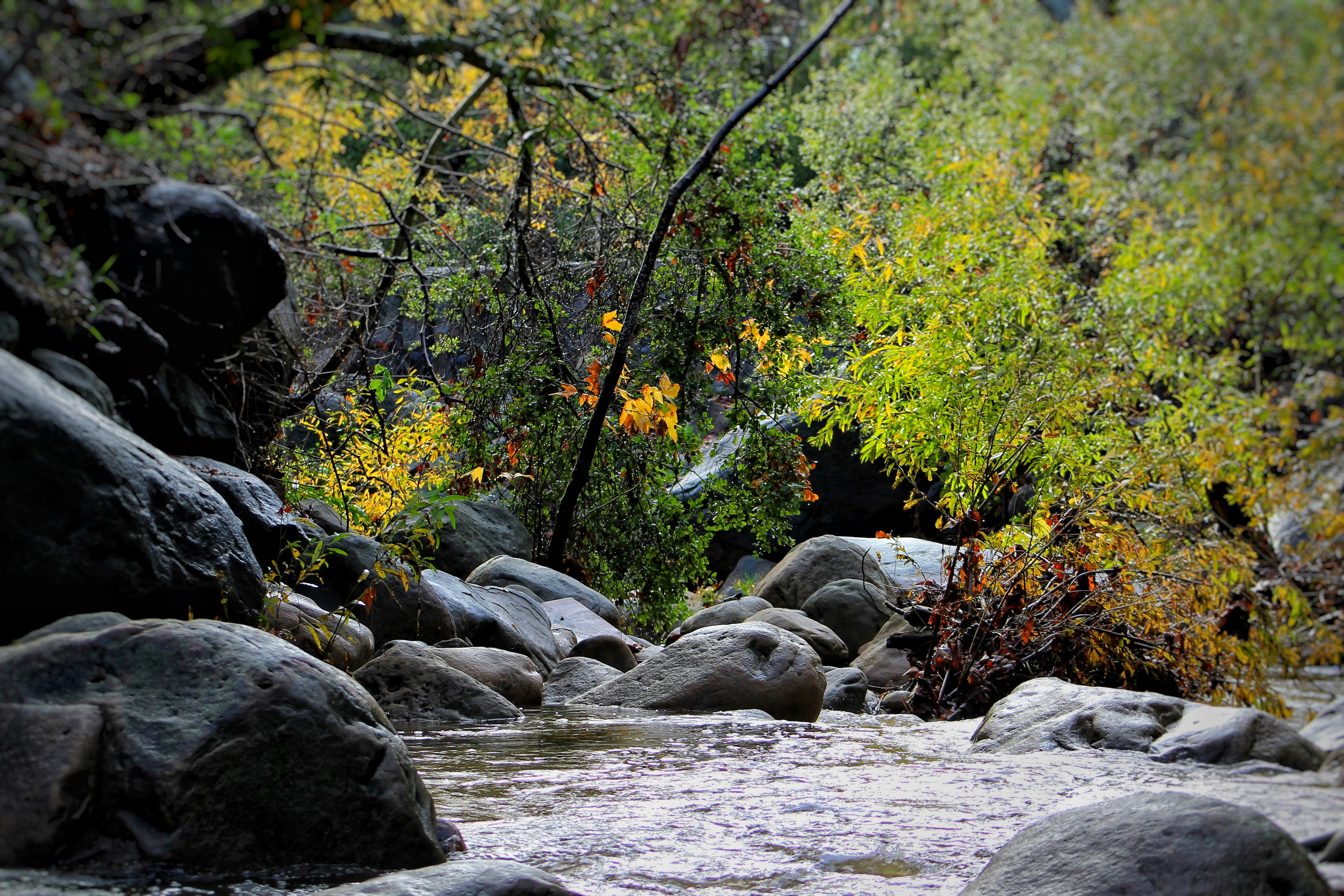 Photo by ethandaball