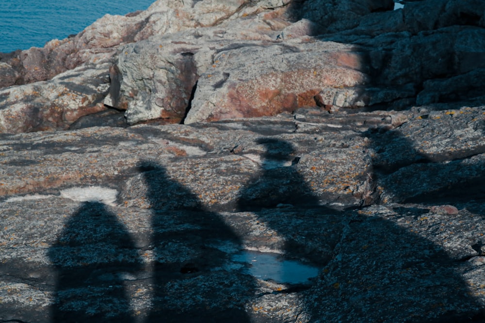 a group of rocks with a shadow