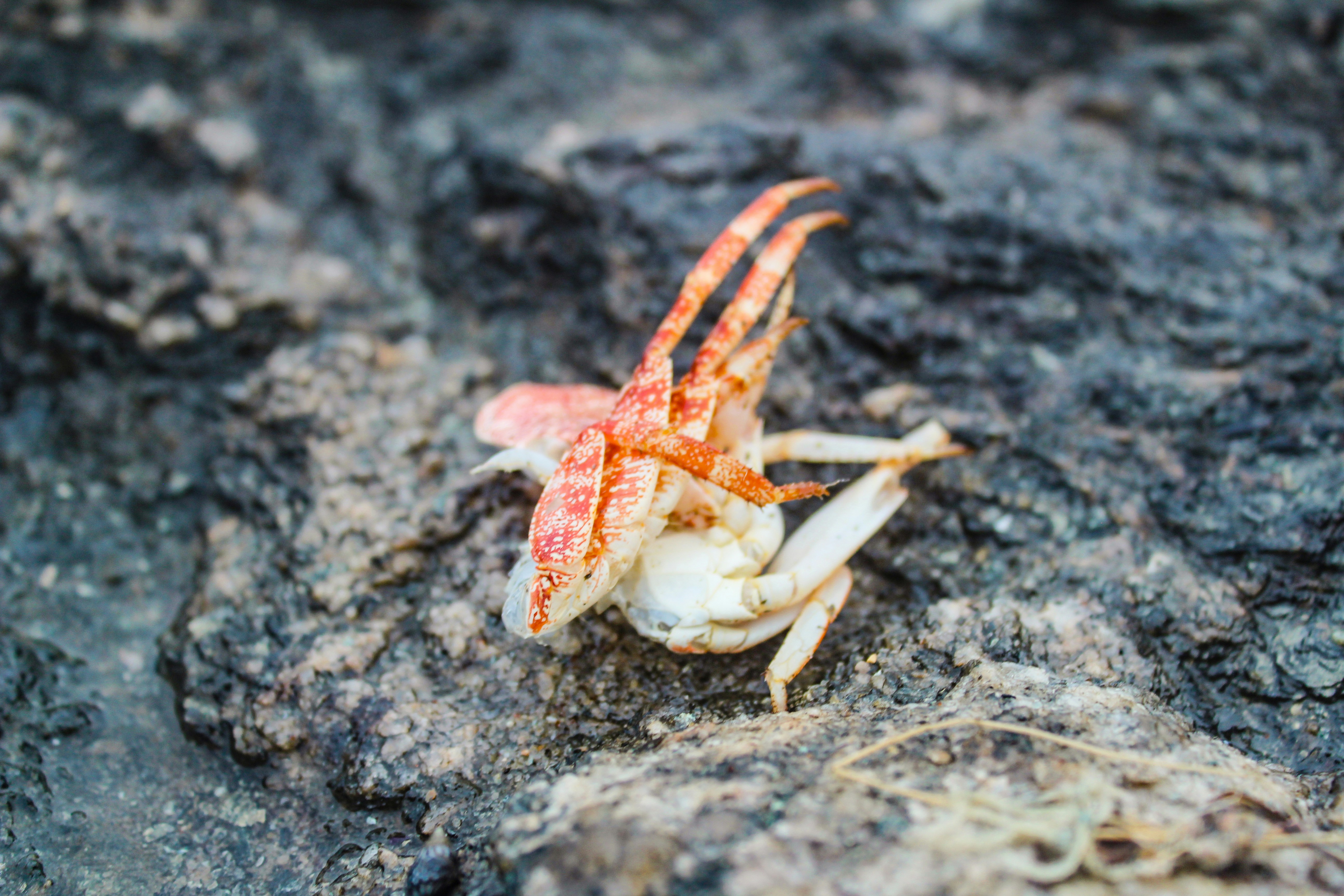 Photo by zeebra_photography22