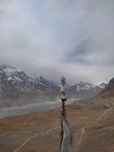 a person on a rope
