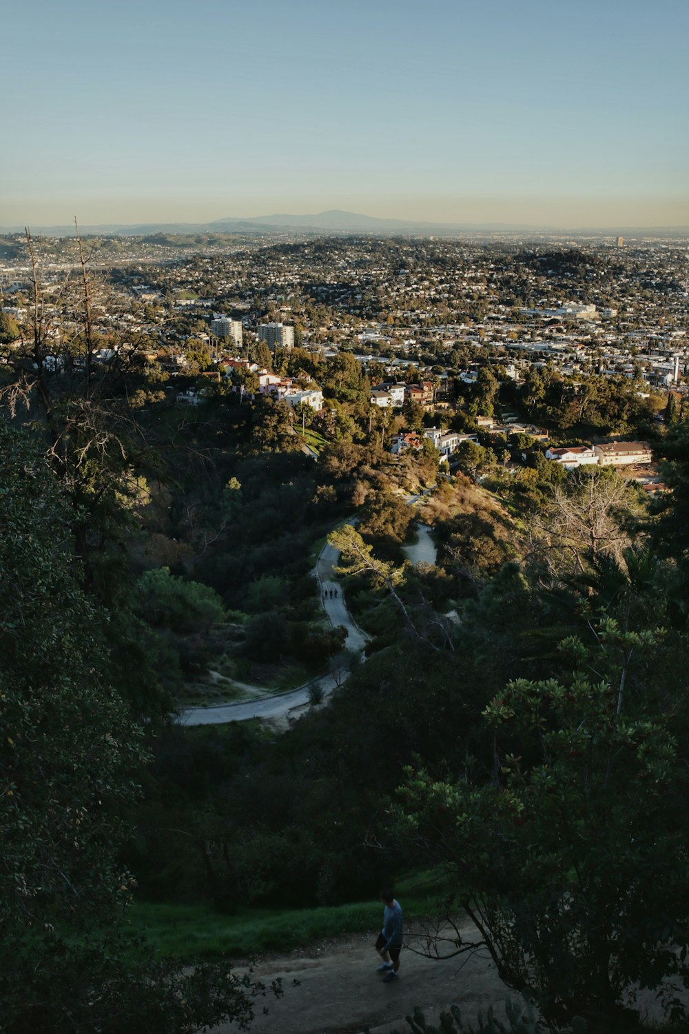 a person walking on a path in a city