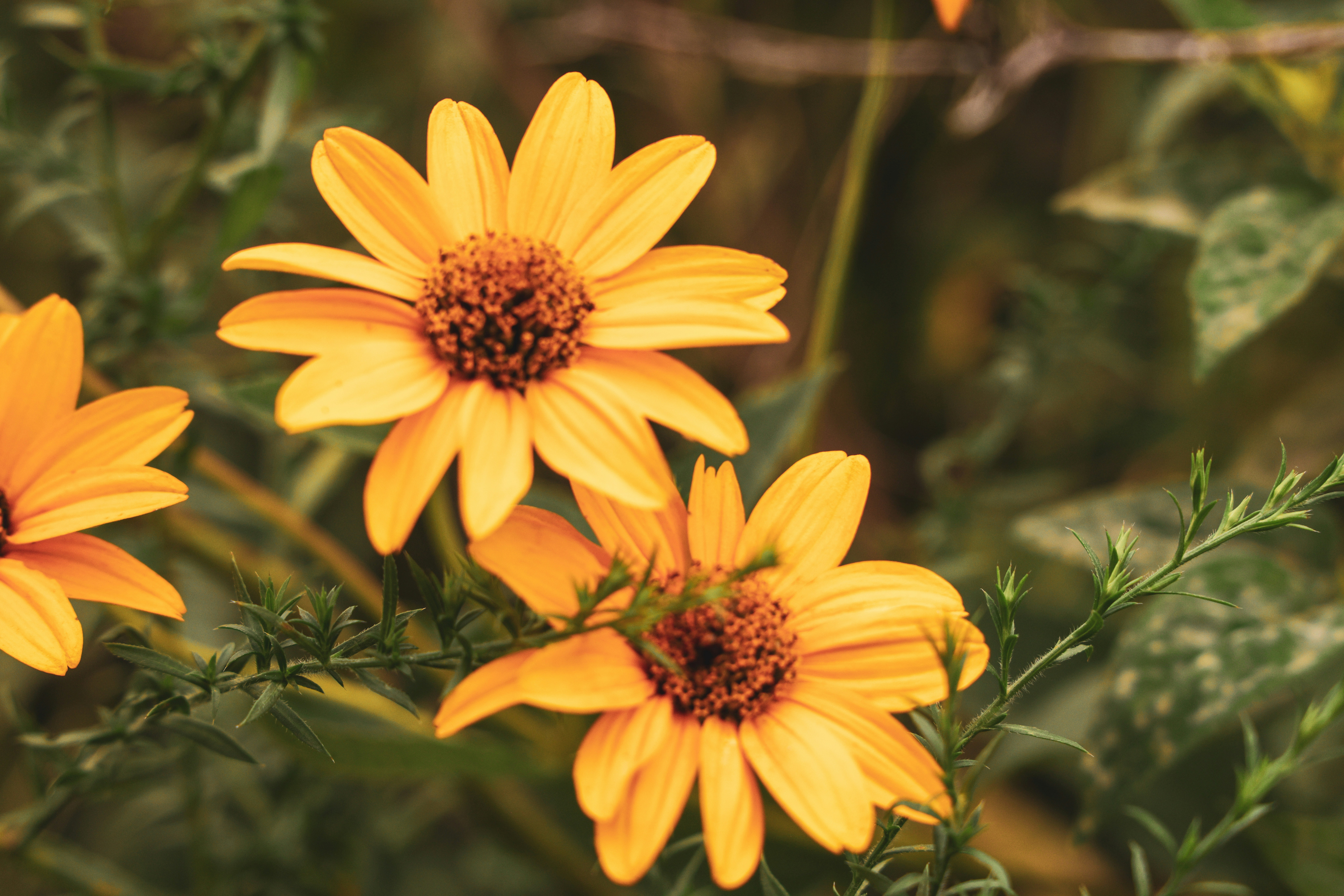 Photo by skypathproductions