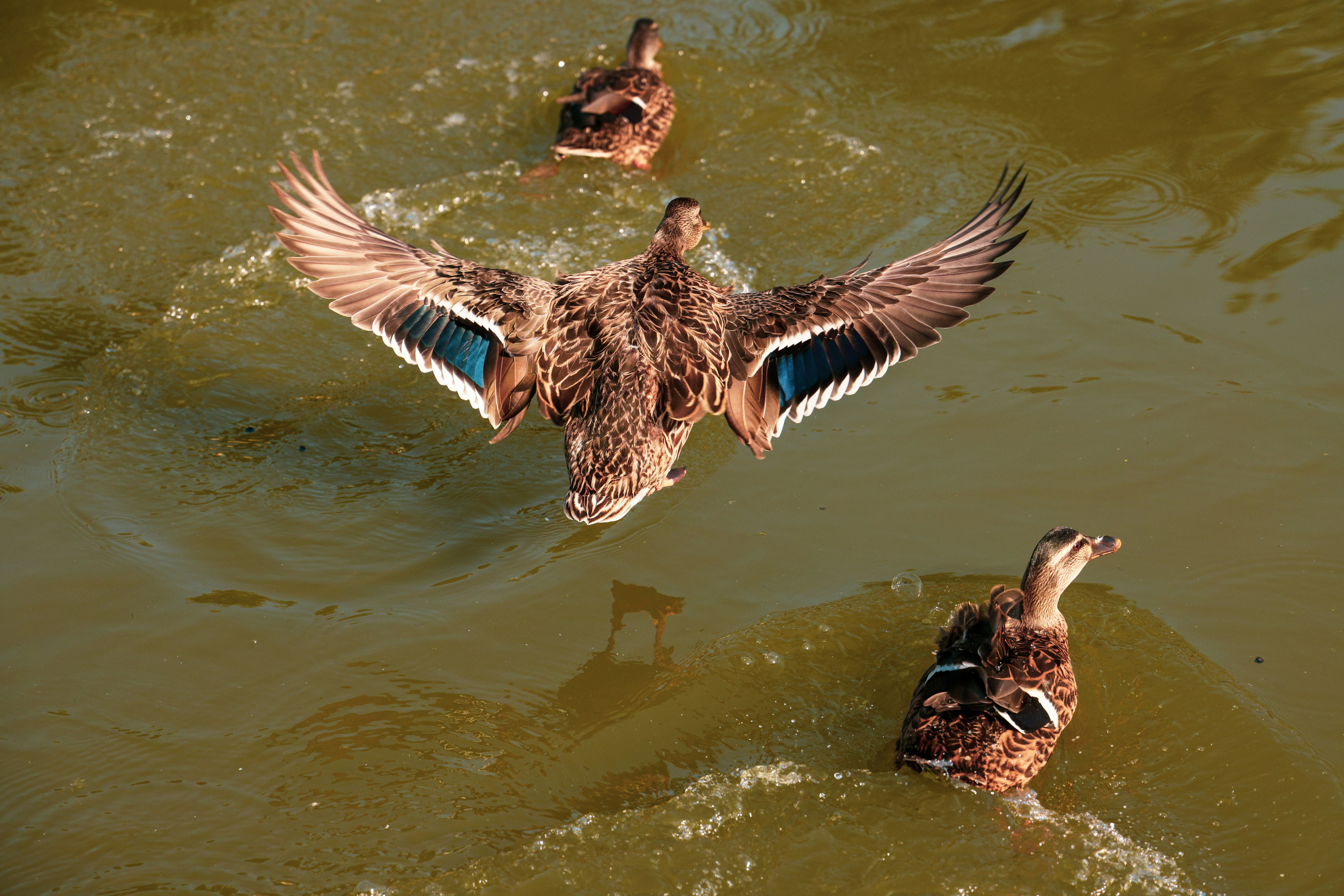 Photo by skypathproductions