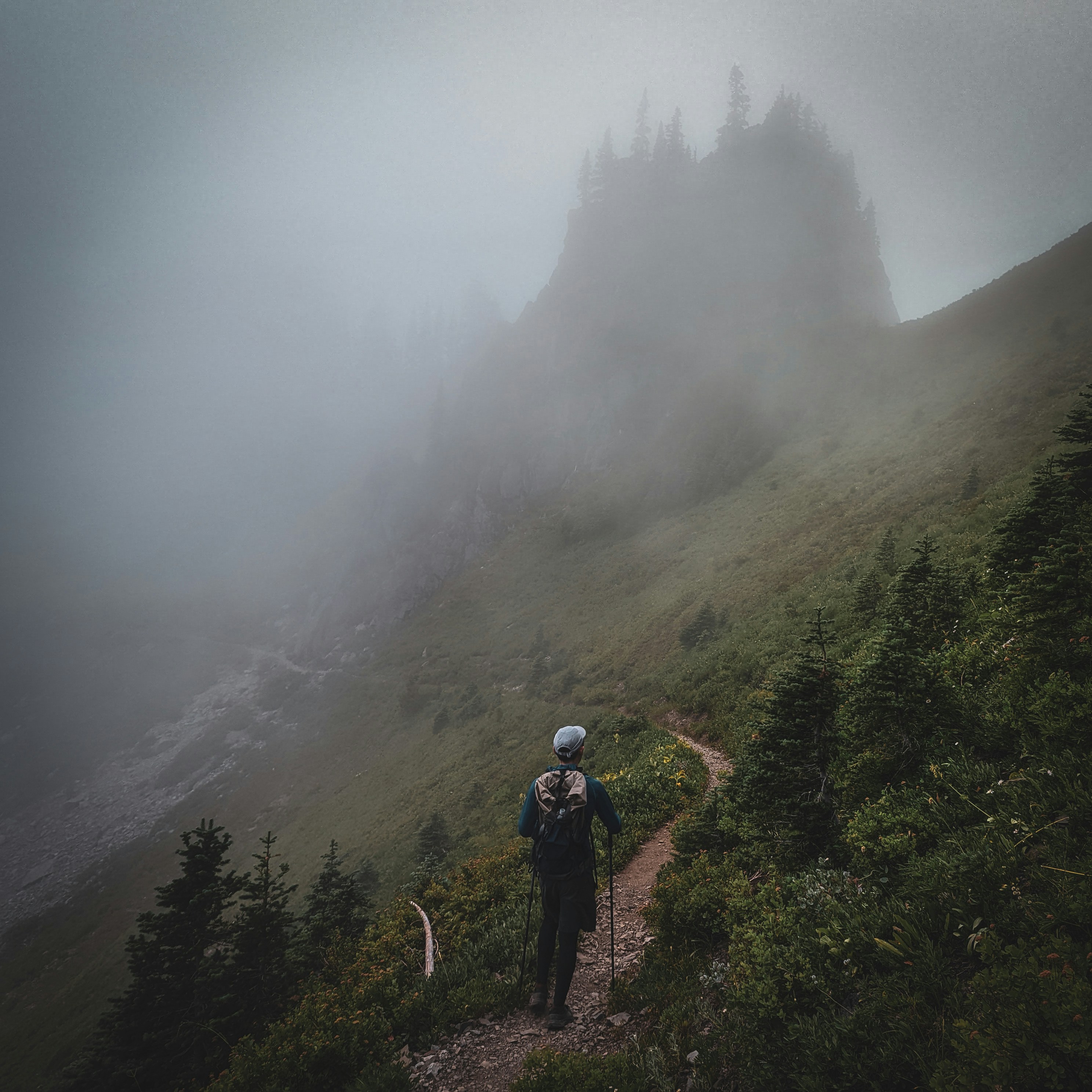 brume: a person hiking in the fog