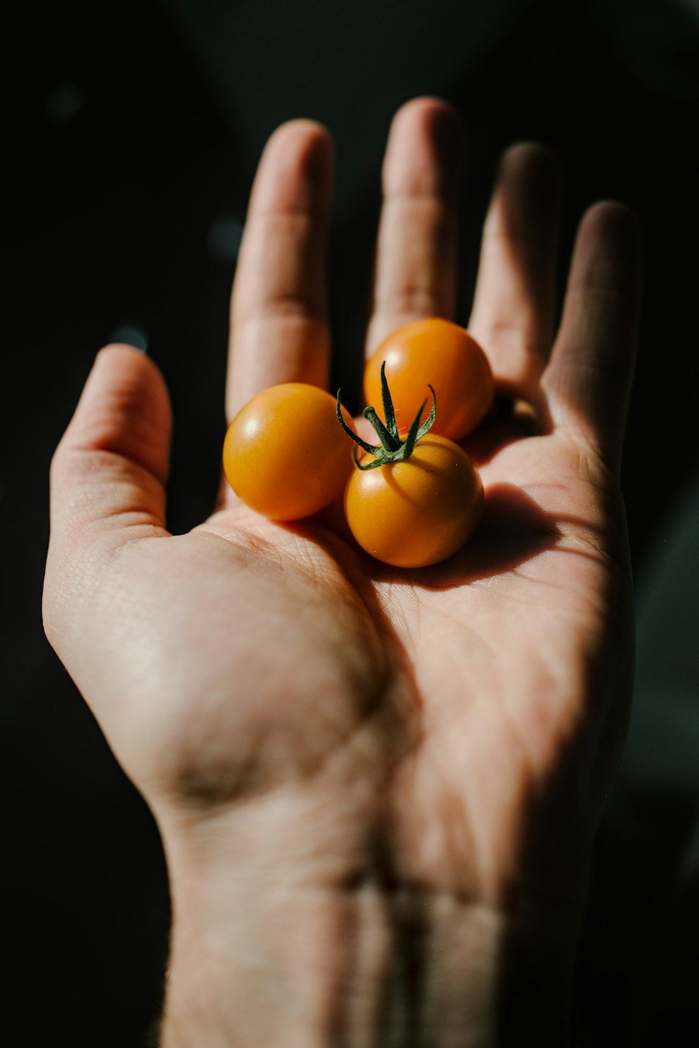 a hand holding small yellow tomatoes