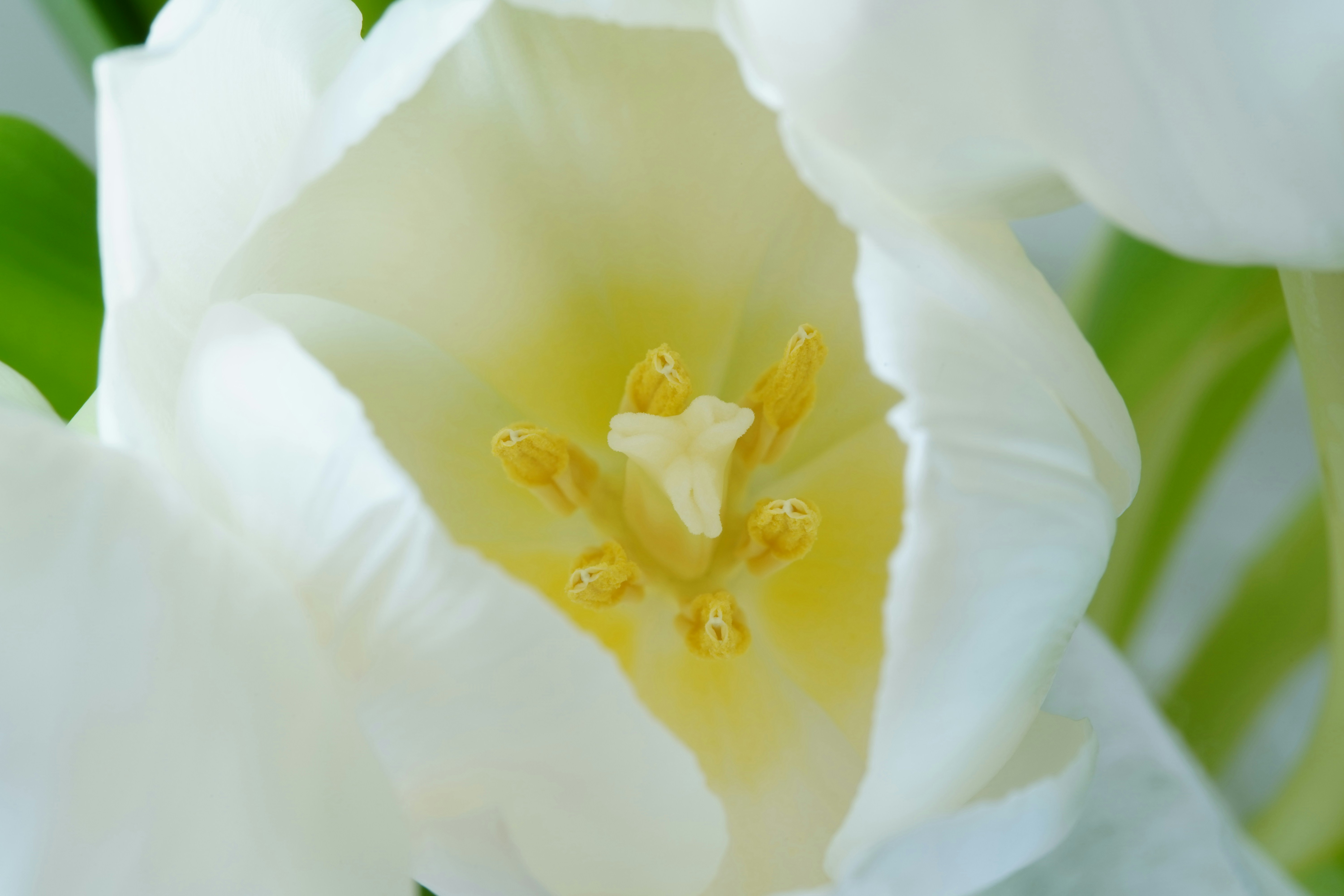 Photo by msz010dzeta