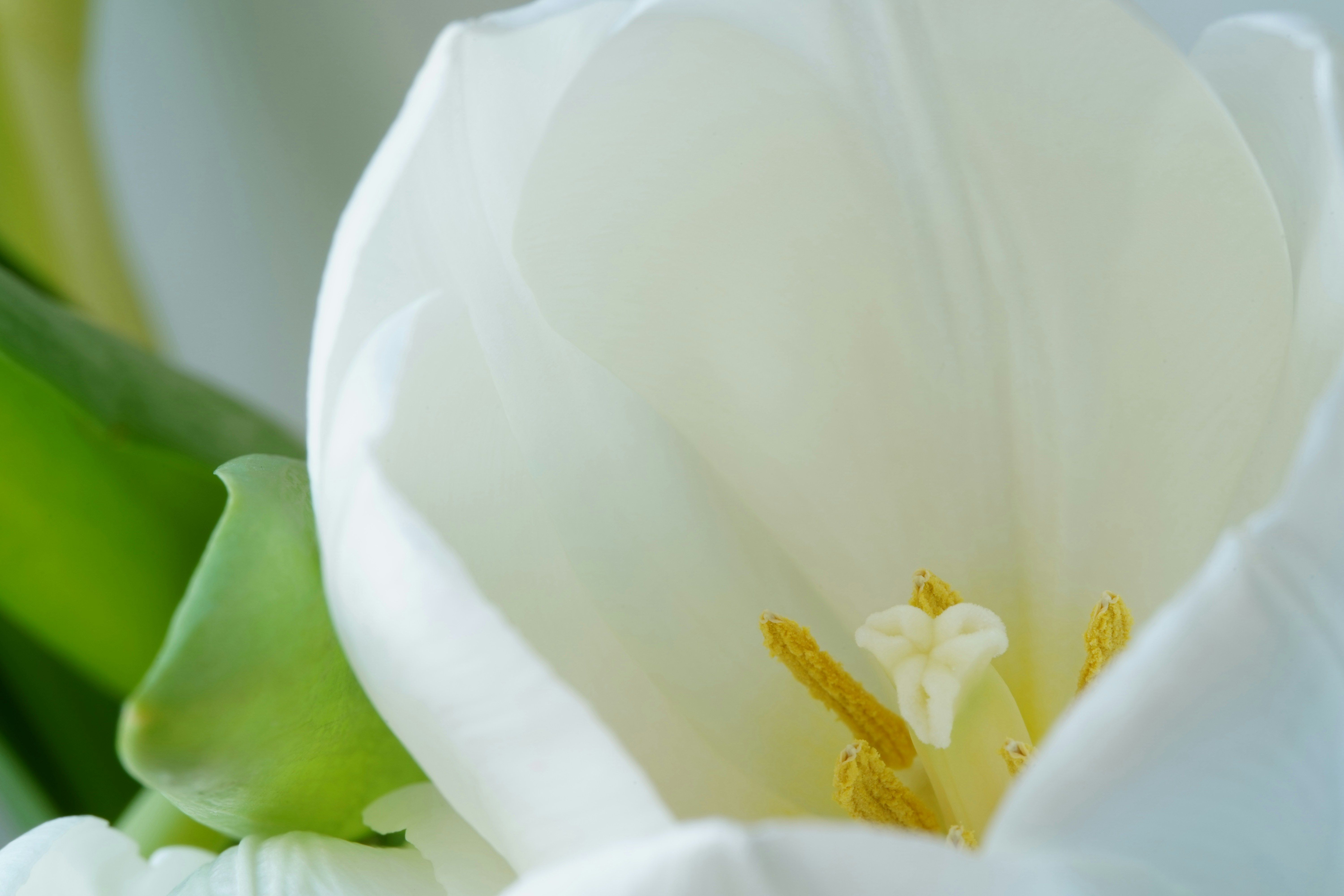 Photo by msz010dzeta