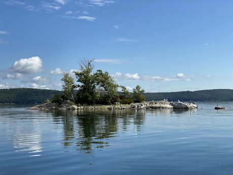 A small, tree-covered island sits in the middle of a calm lake. The water reflects the greenery and sky, and several birds perch on the rocks that surround the island. The sky is blue with scattered clouds, and the forested shores of the lake can be seen in the background.