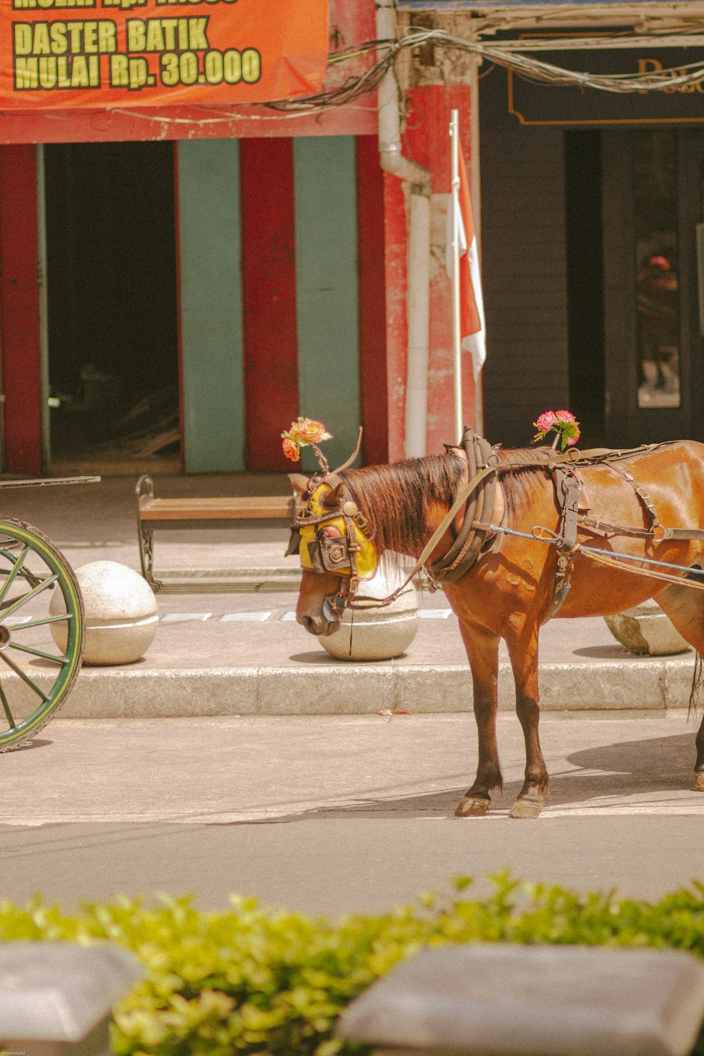 un caballo con un carro atado a él