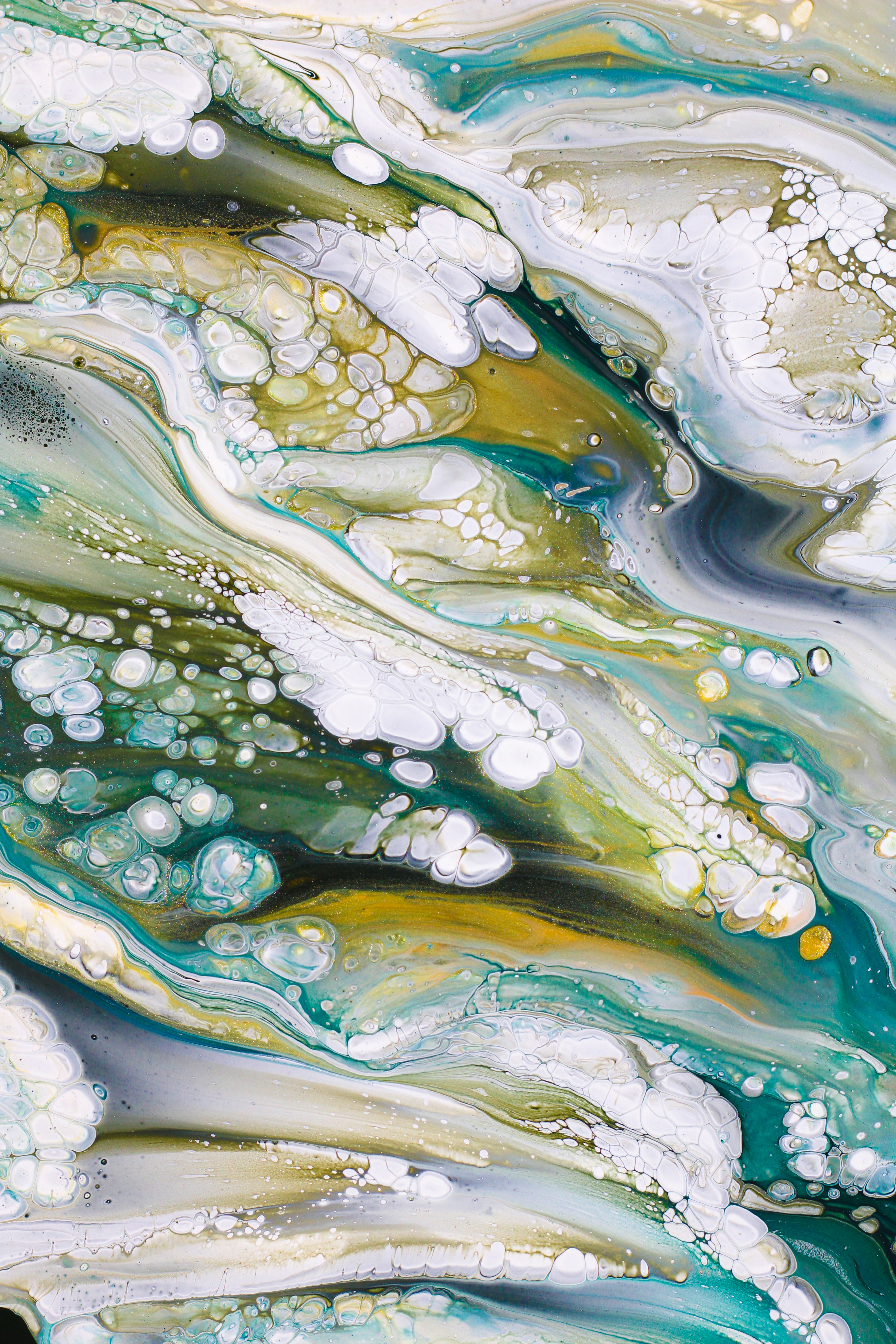 Photo by susan_wilkinson