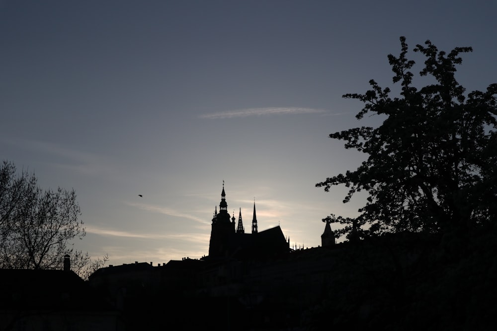 silhouette of a building and trees