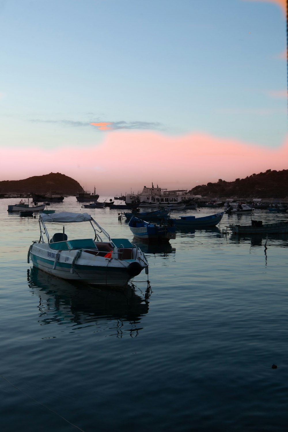 boats in the water