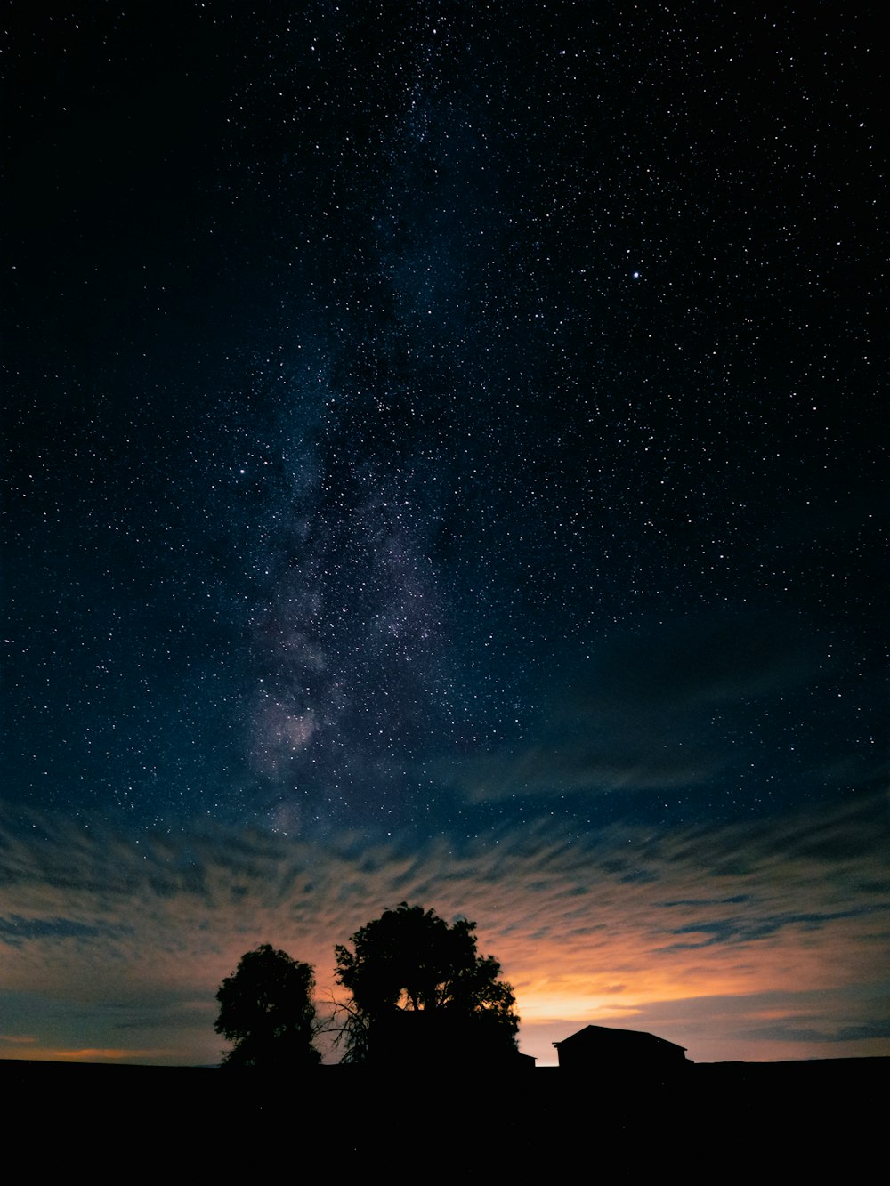 a starry night sky with a tree and a silhouette of a house