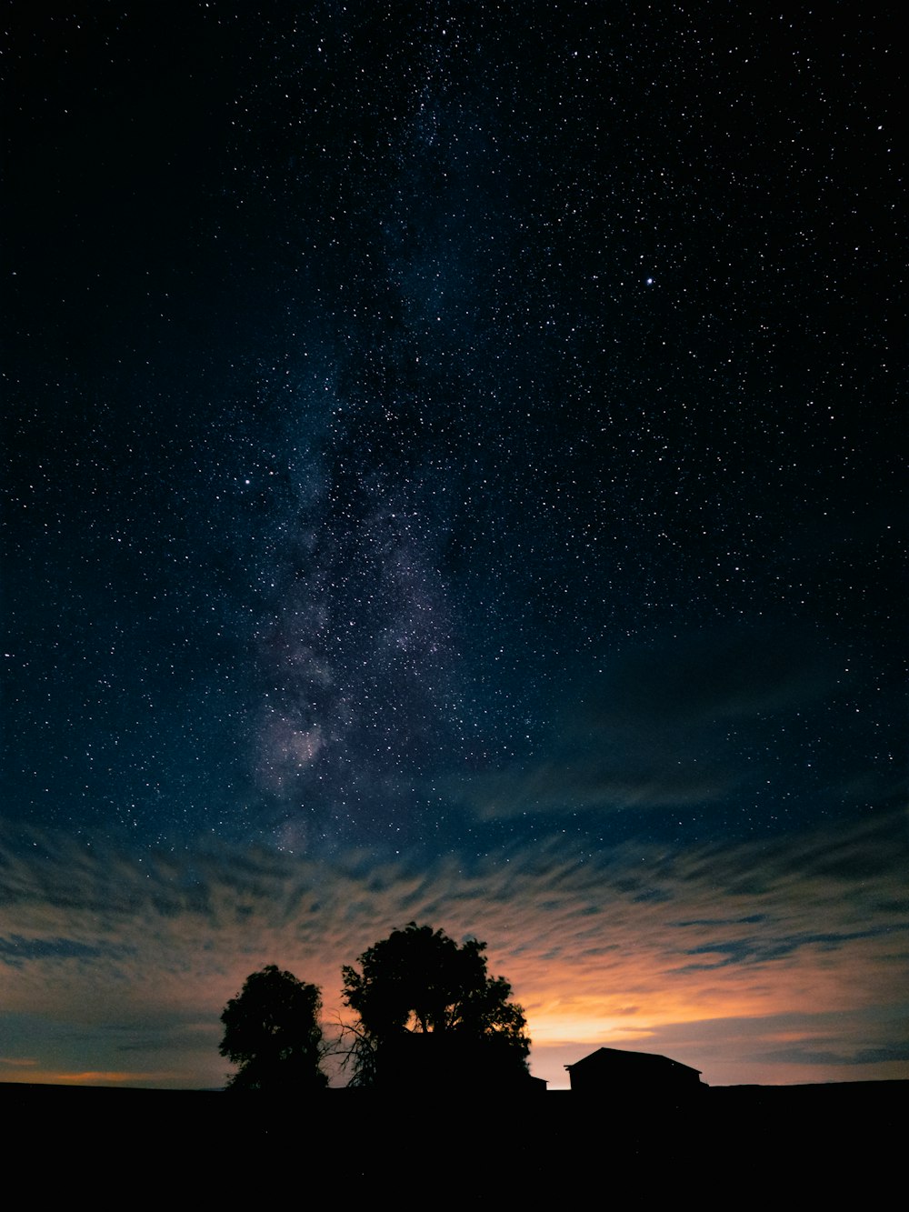 Un cielo notturno stellato con un albero e una sagoma di una casa