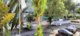 A sunny outdoor parking area with several parked cars is surrounded by tall green palm trees and other vegetation. In the background, there's a road with passing vehicles and a building partially visible over the foliage. The area is marked by traffic cones, and flags can be seen in front of the structure.