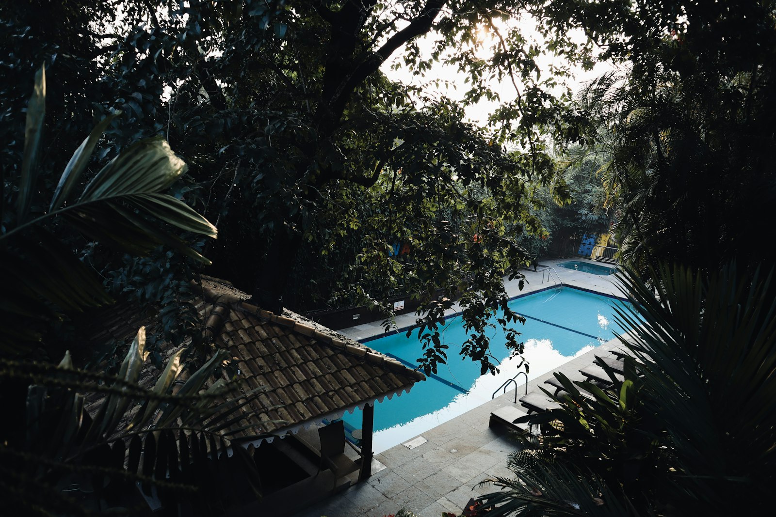 Villa Serena — Palm Grove Retreat