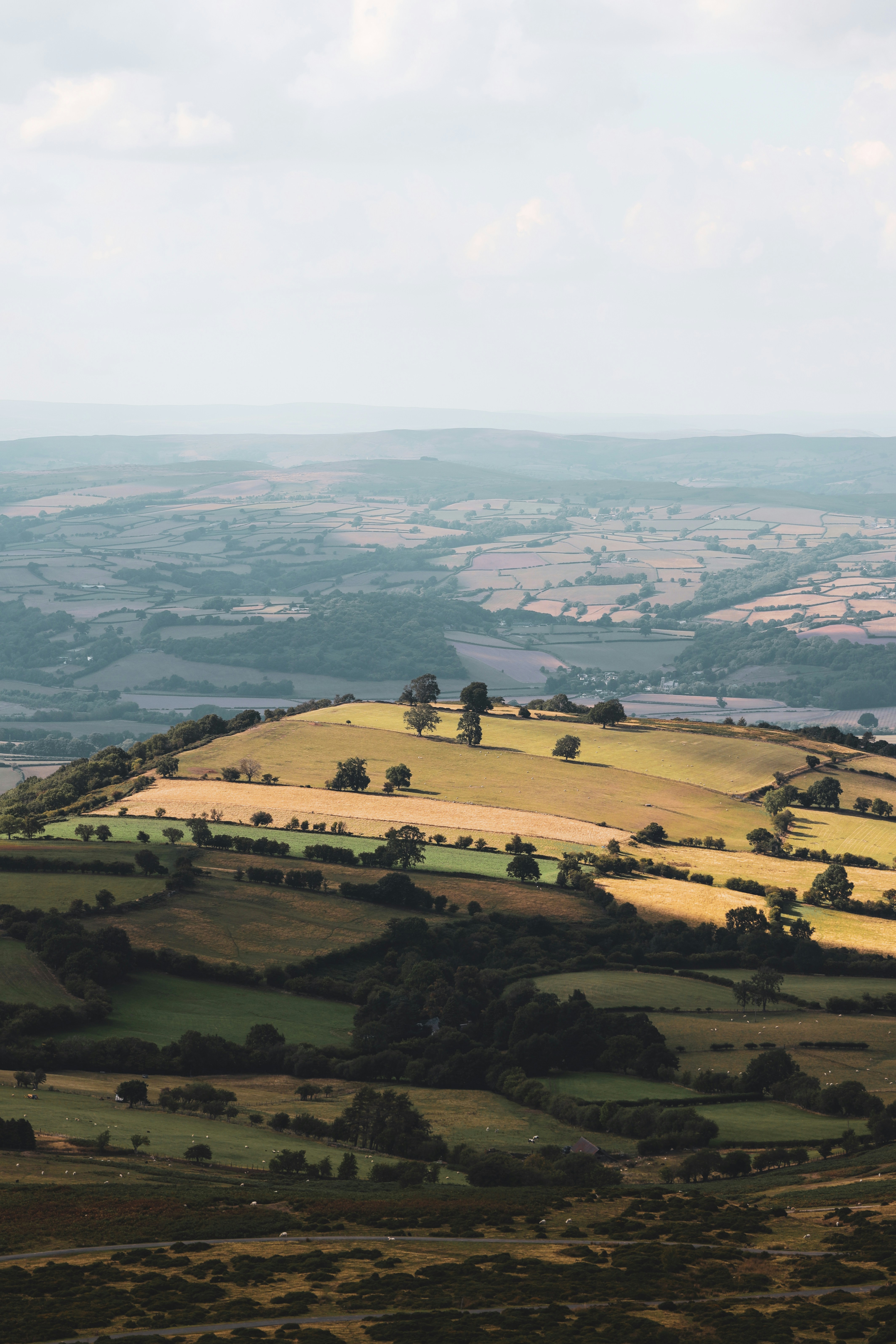 Photo by secondsight