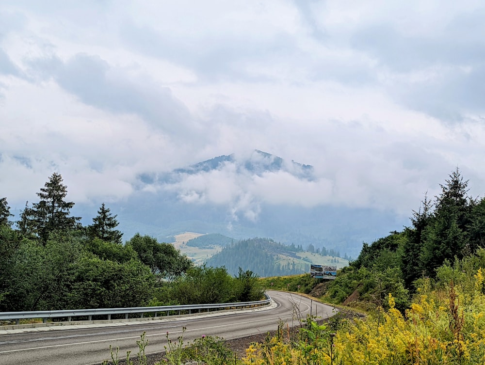 a road with trees and mountains in the background