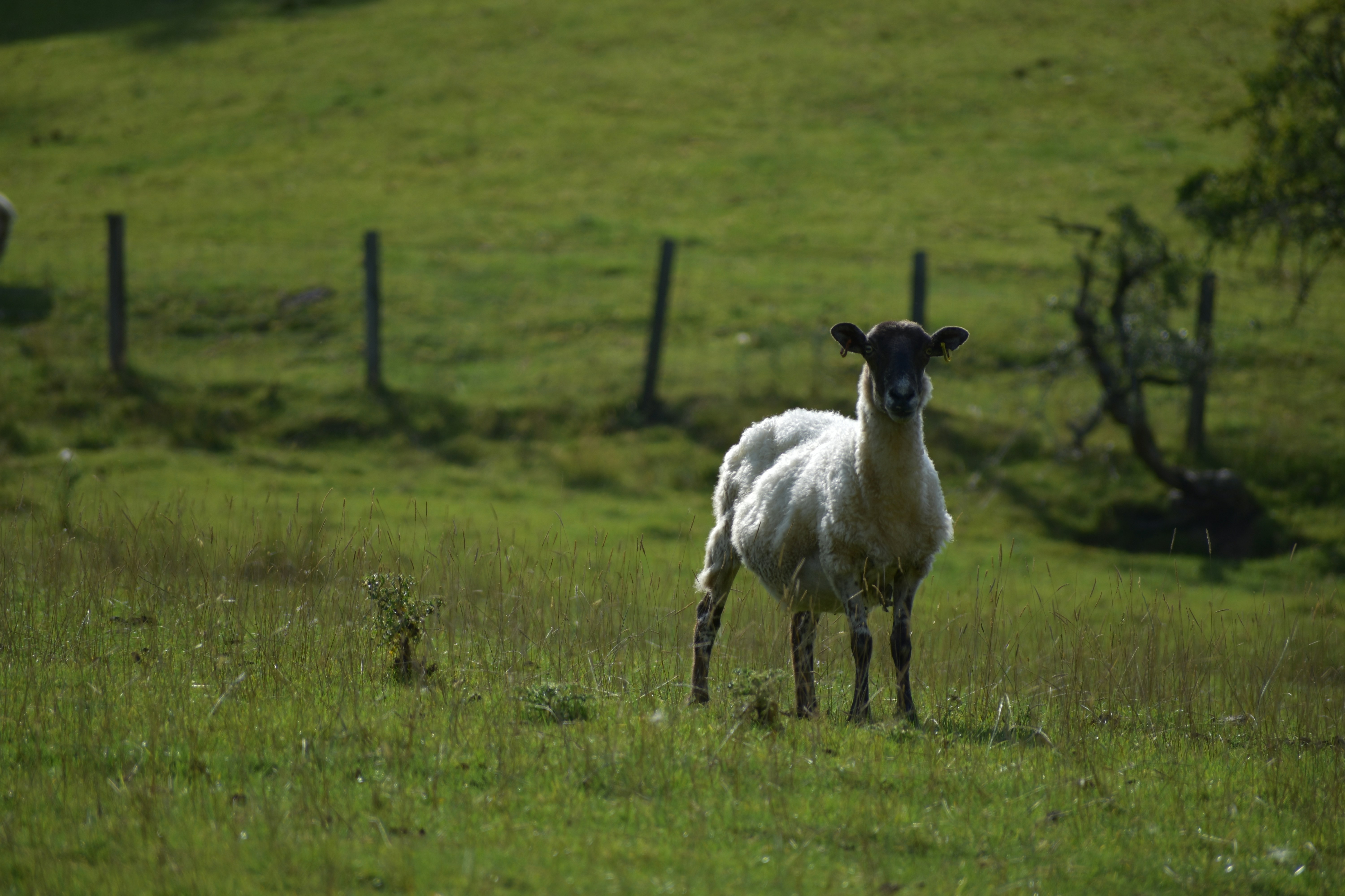 Photo by andrew_hall