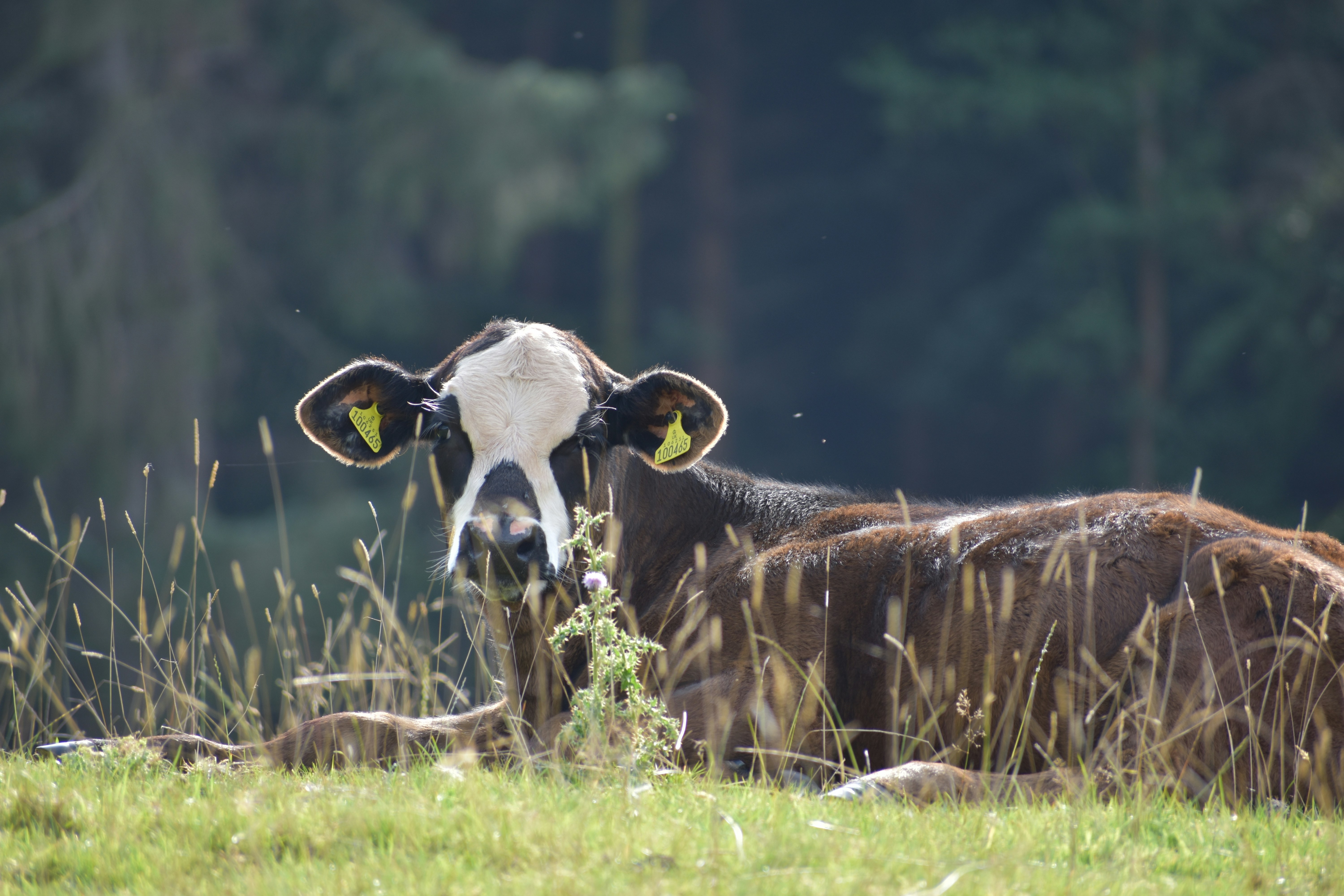 Photo by andrew_hall