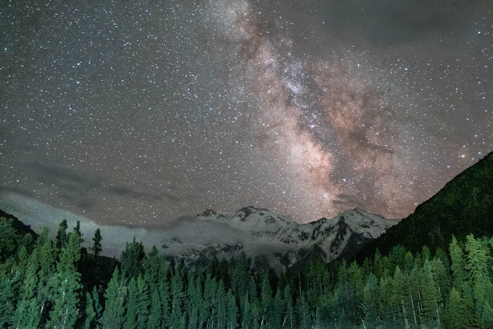 a mountain with trees and a starry sky above