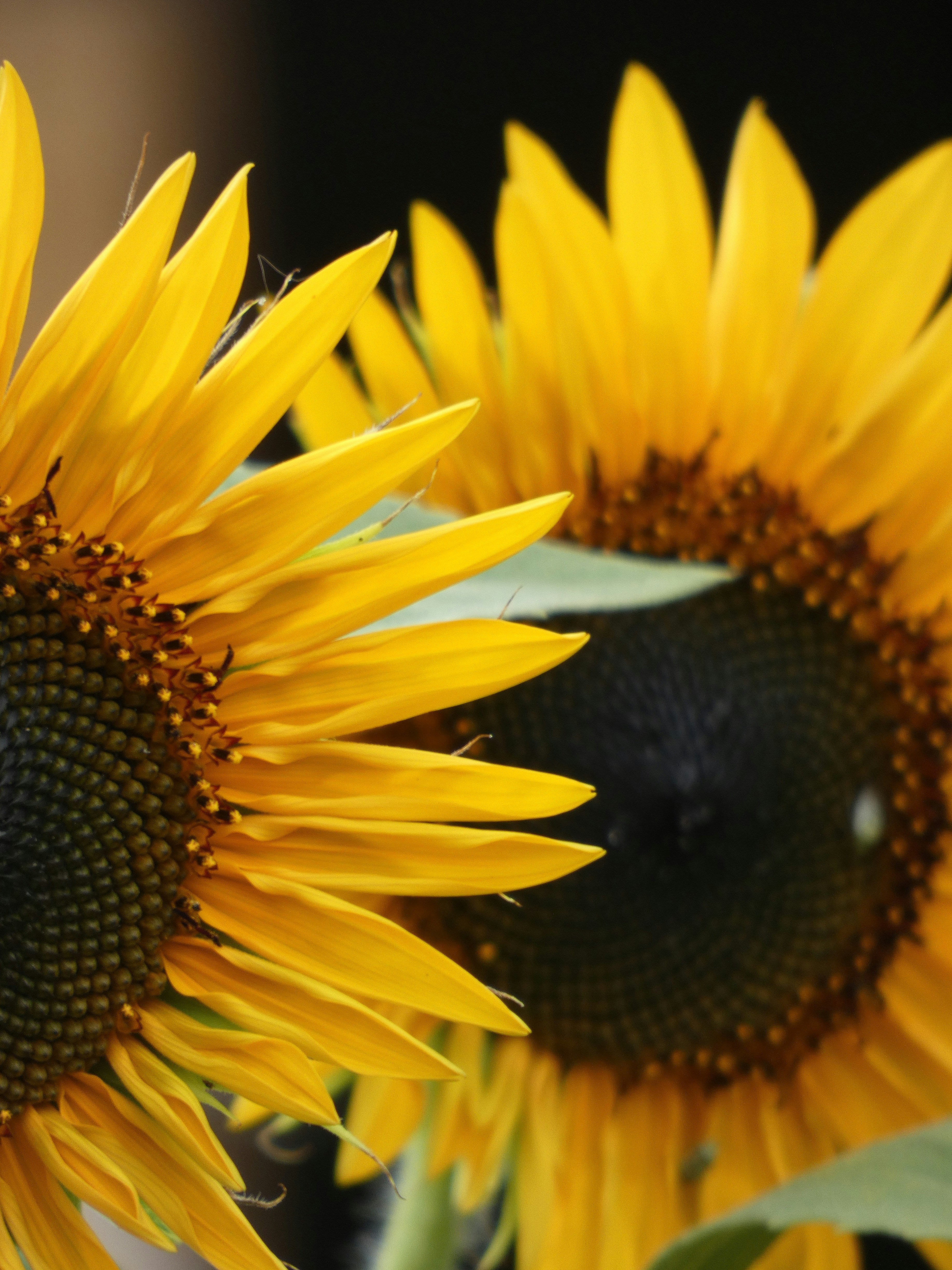 Photo by akashravuri