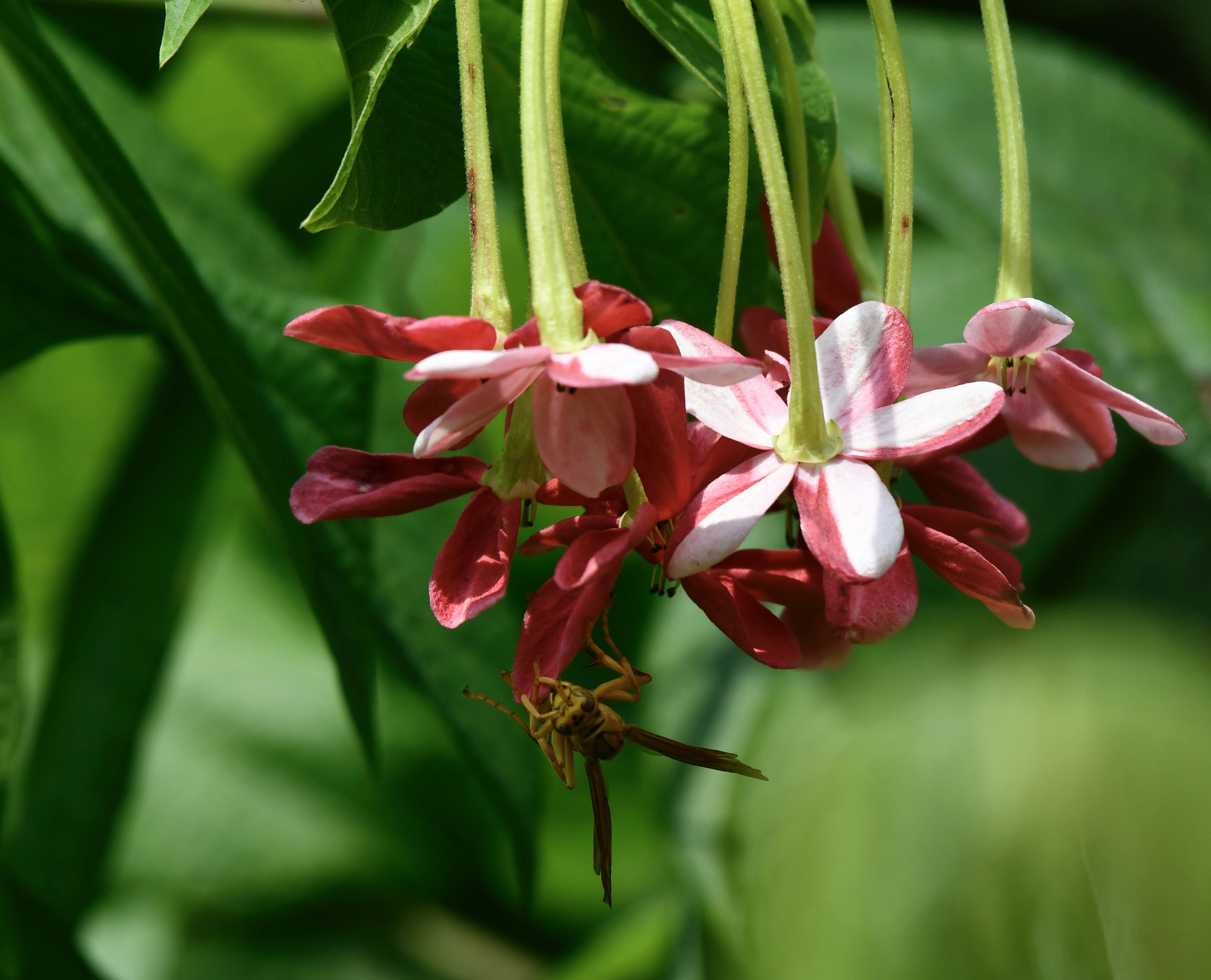 Photo by wrishi2004m