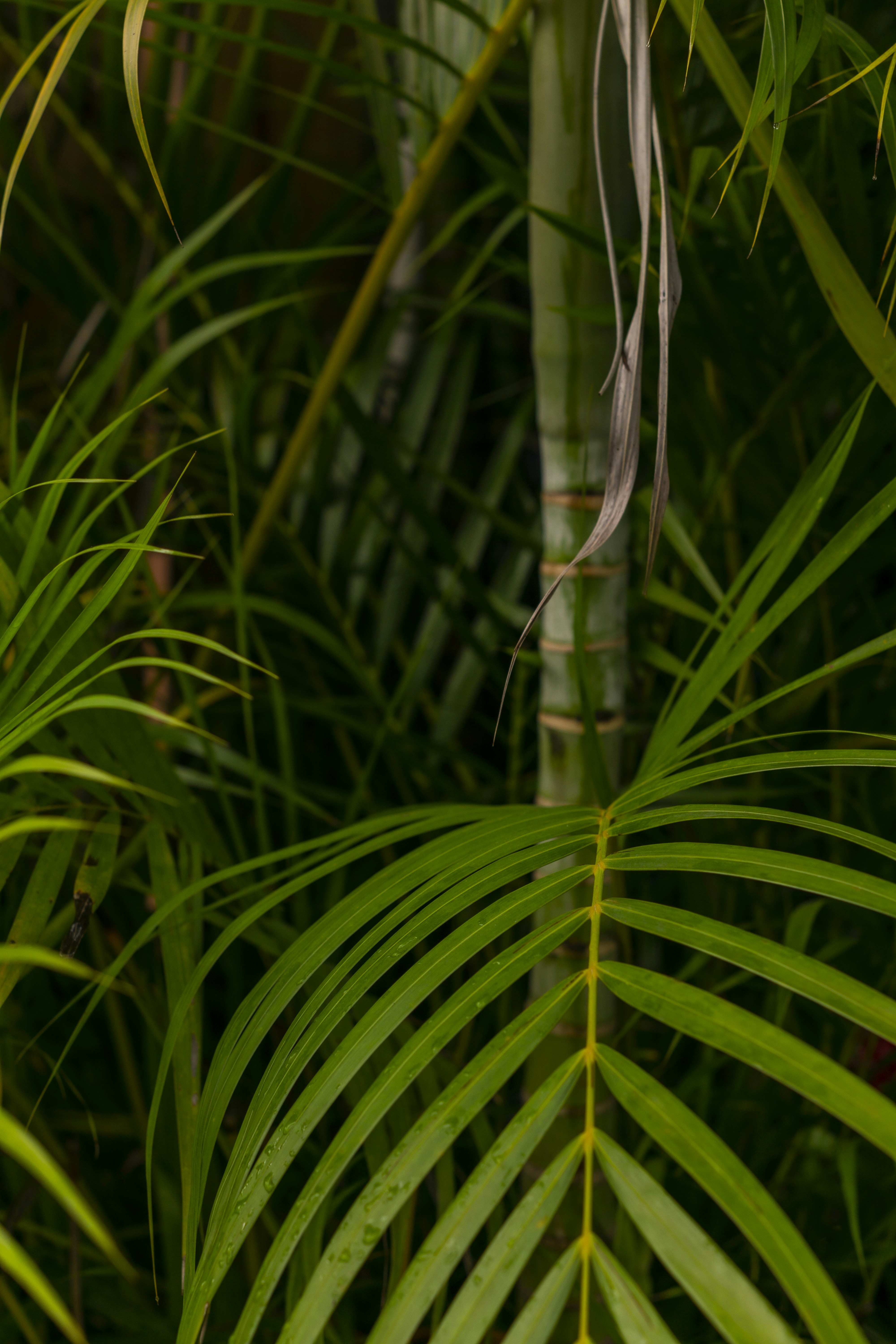 Photo by miguelphoto