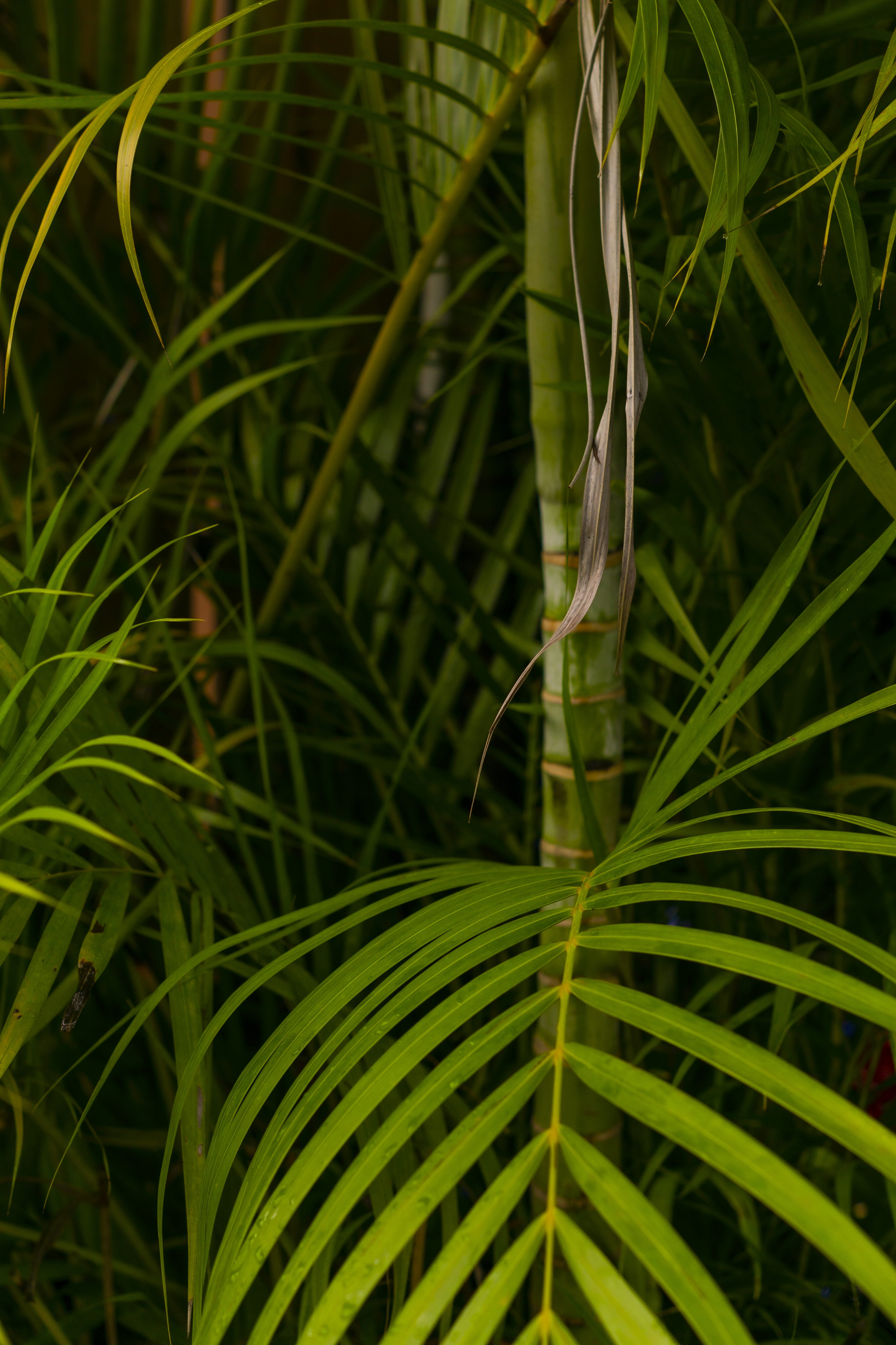 Photo by miguelphoto