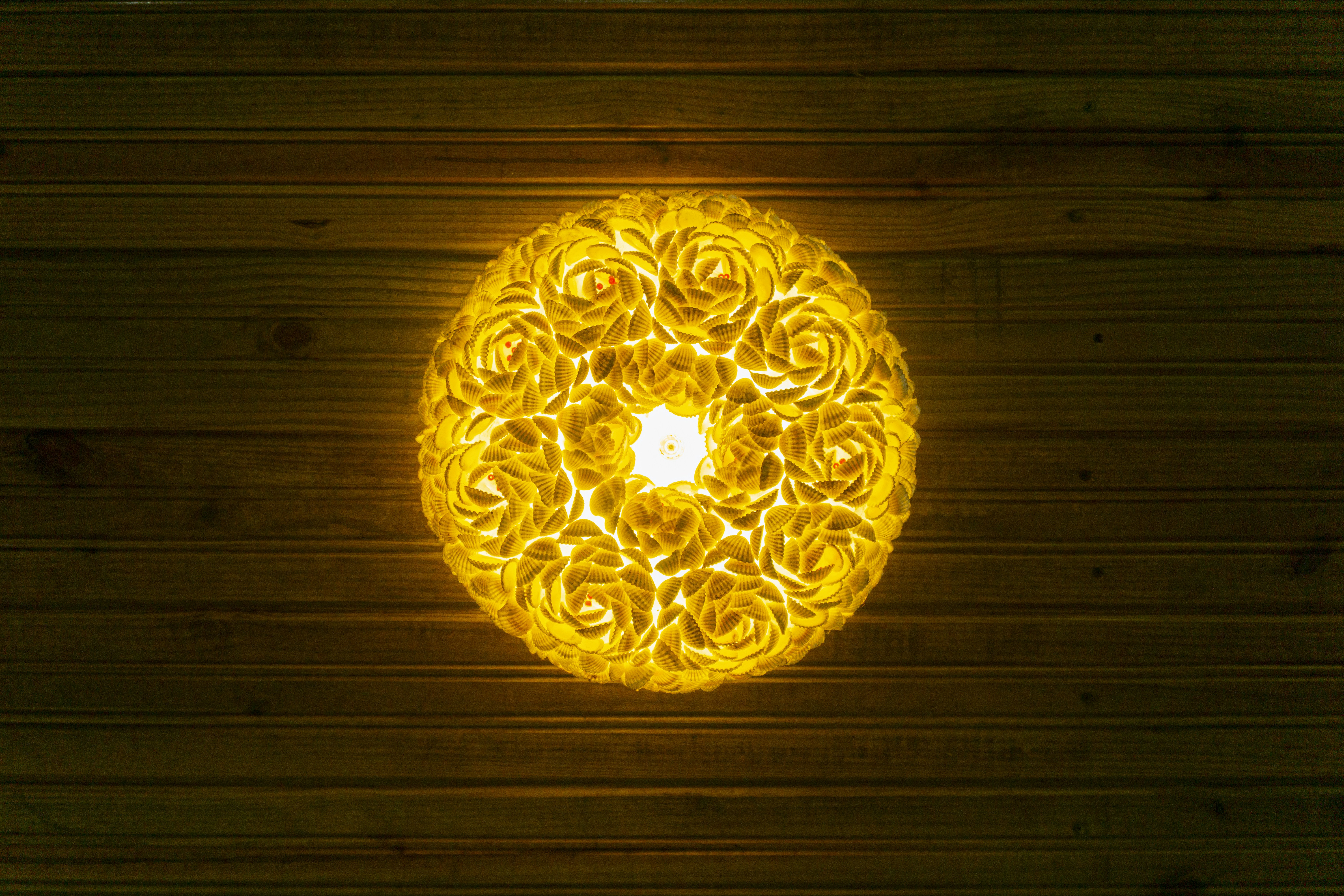 Photo by miguelphoto