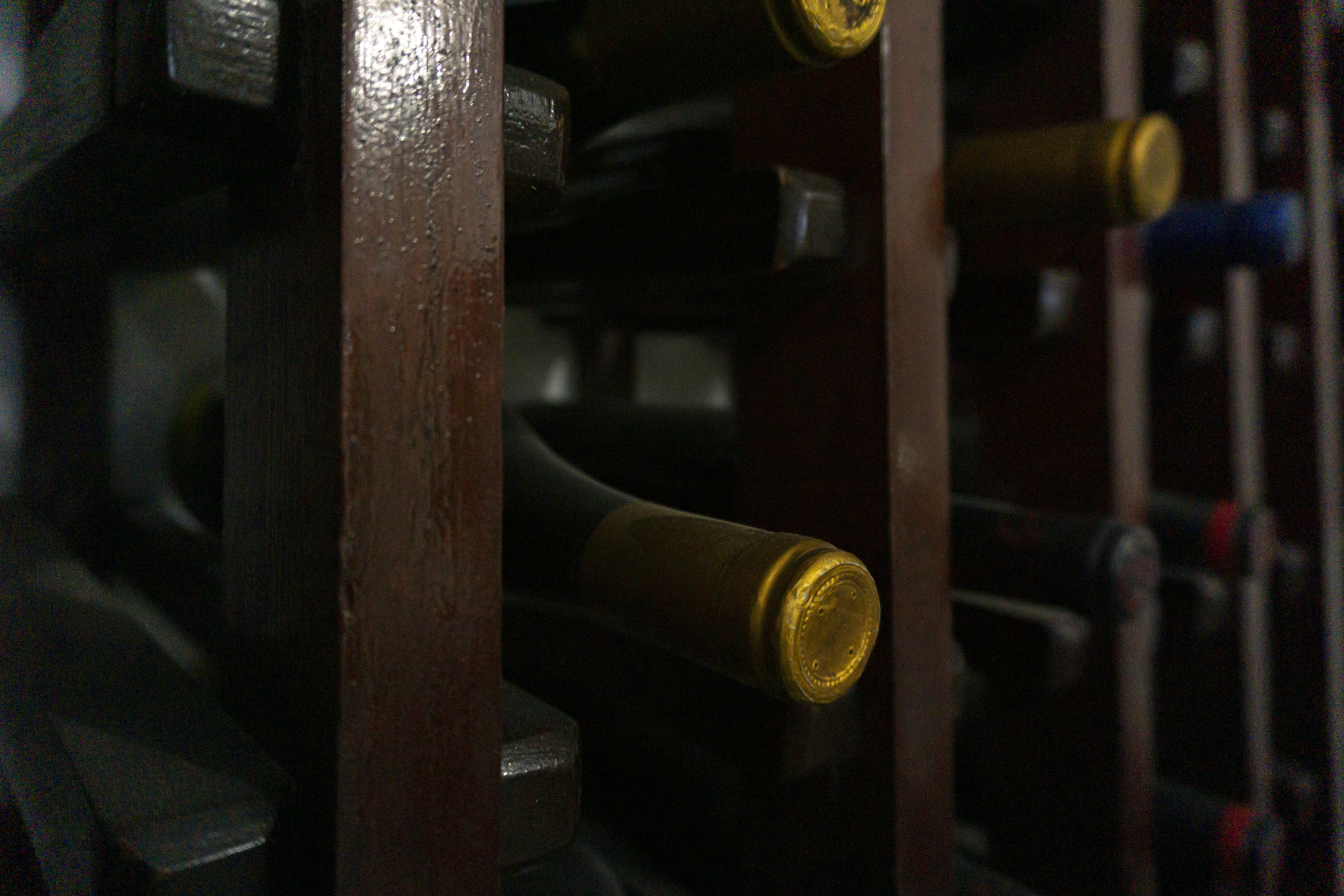 Photo by miguelphoto