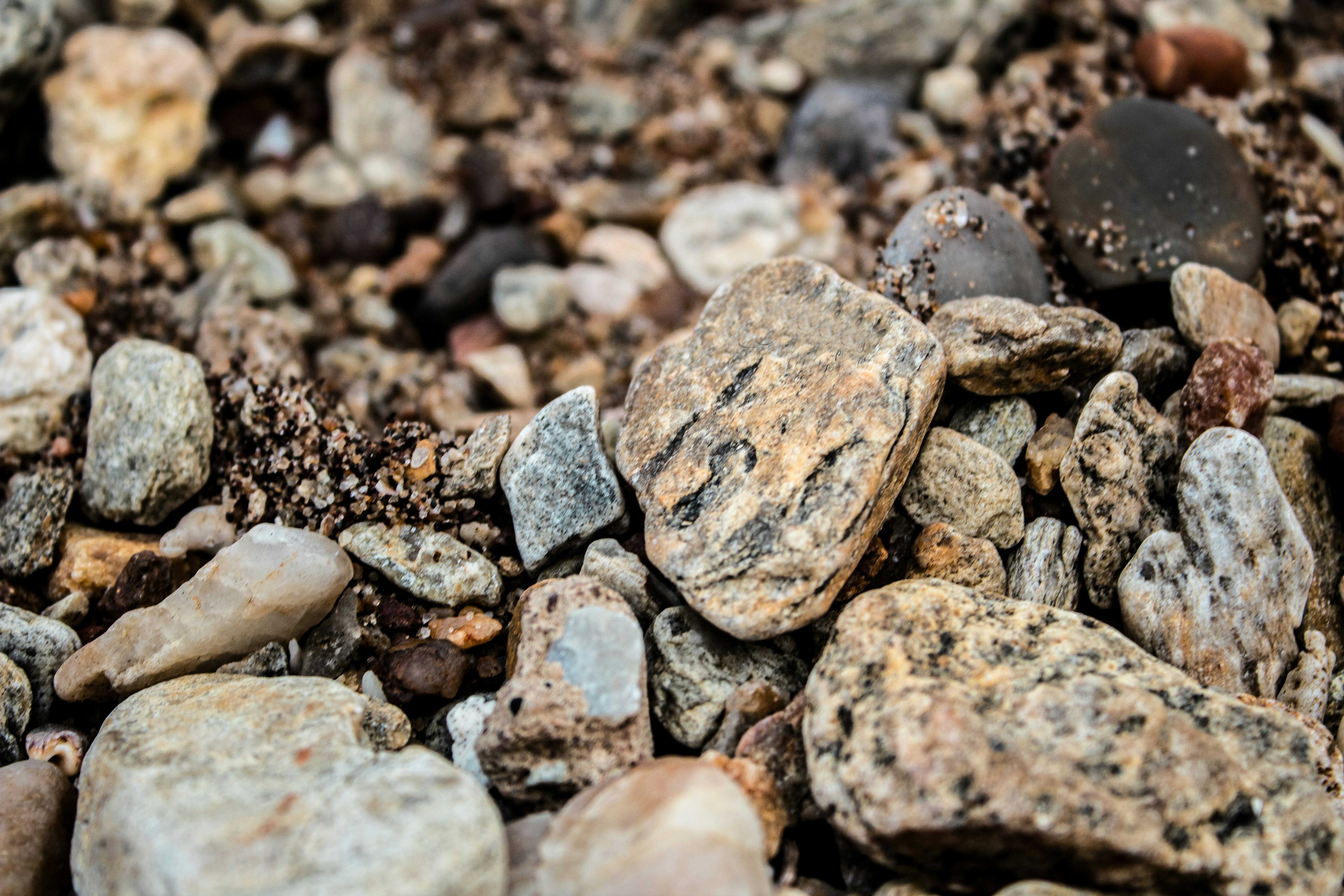 Photo by zeebra_photography22