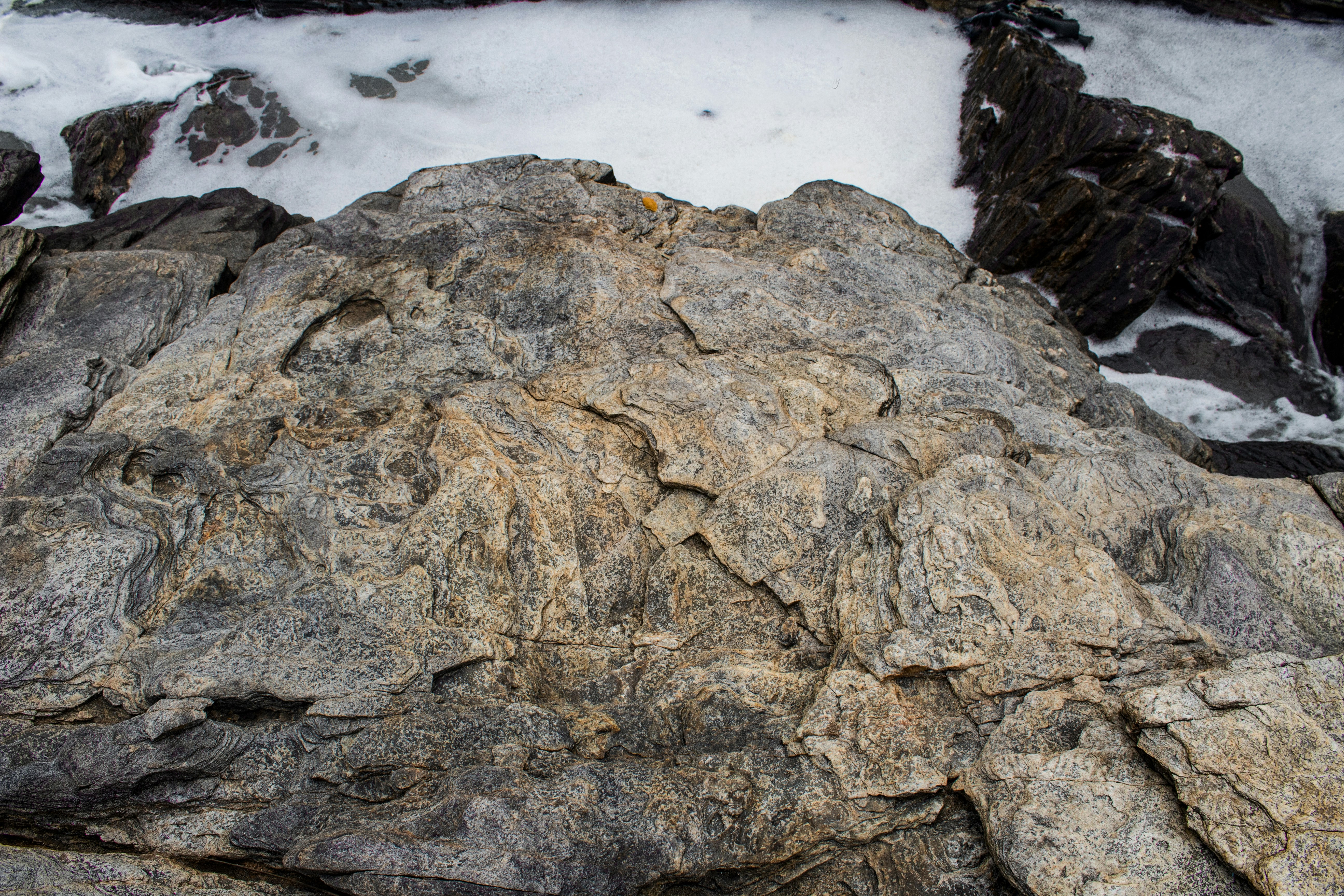 Photo by zeebra_photography22