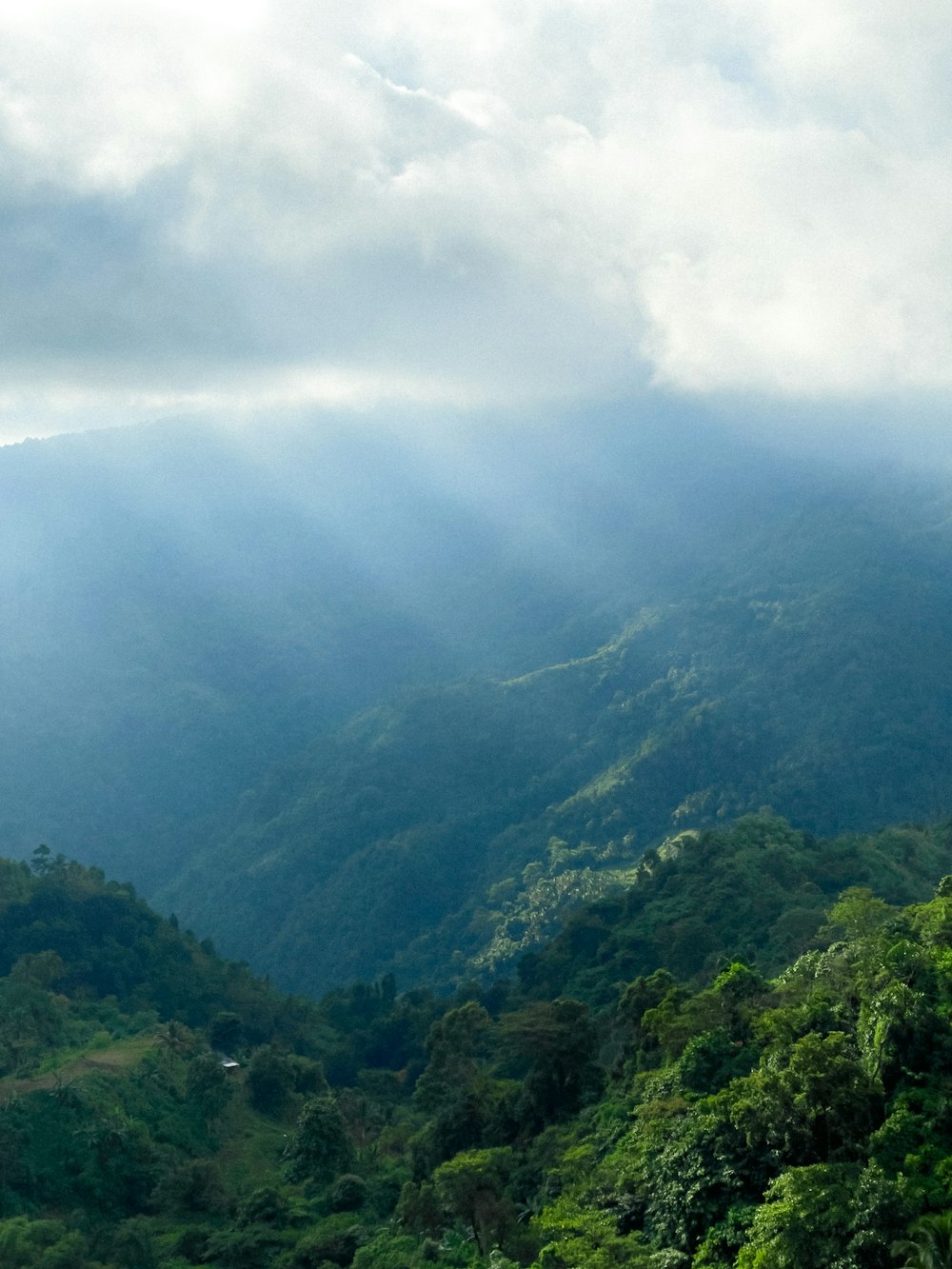 a landscape with trees and hills